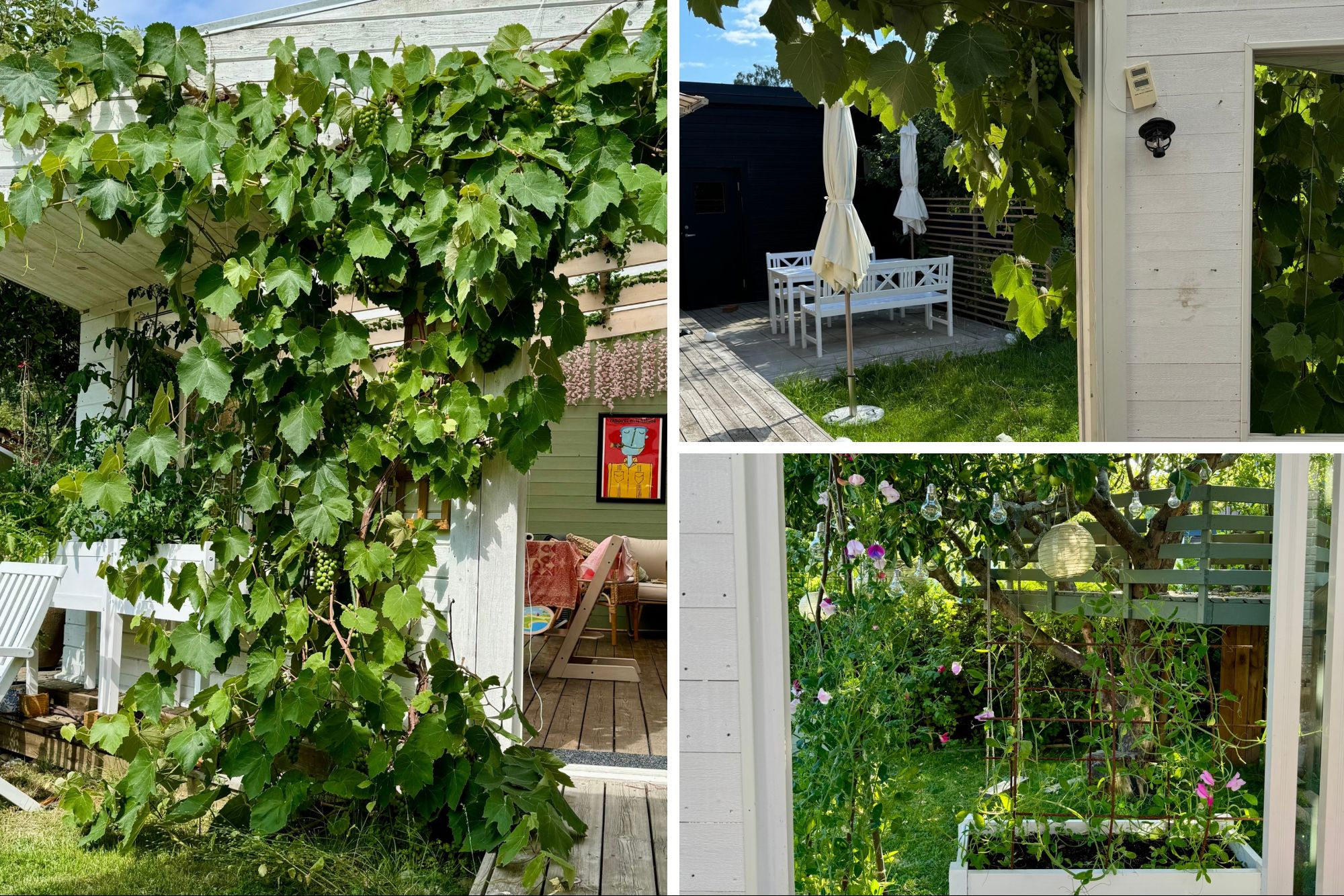 Bilder från säljarnasakiv