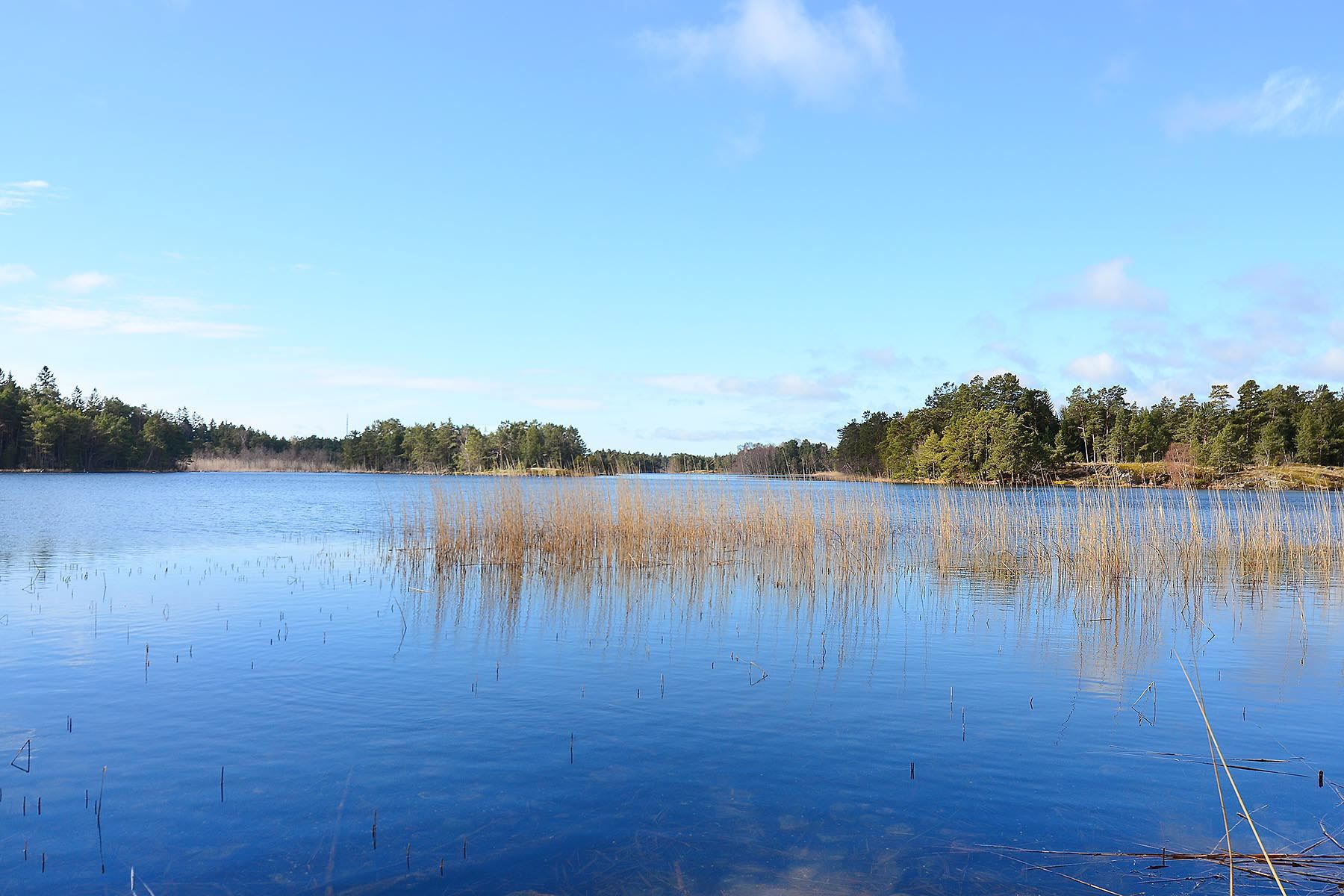 Vitträsk