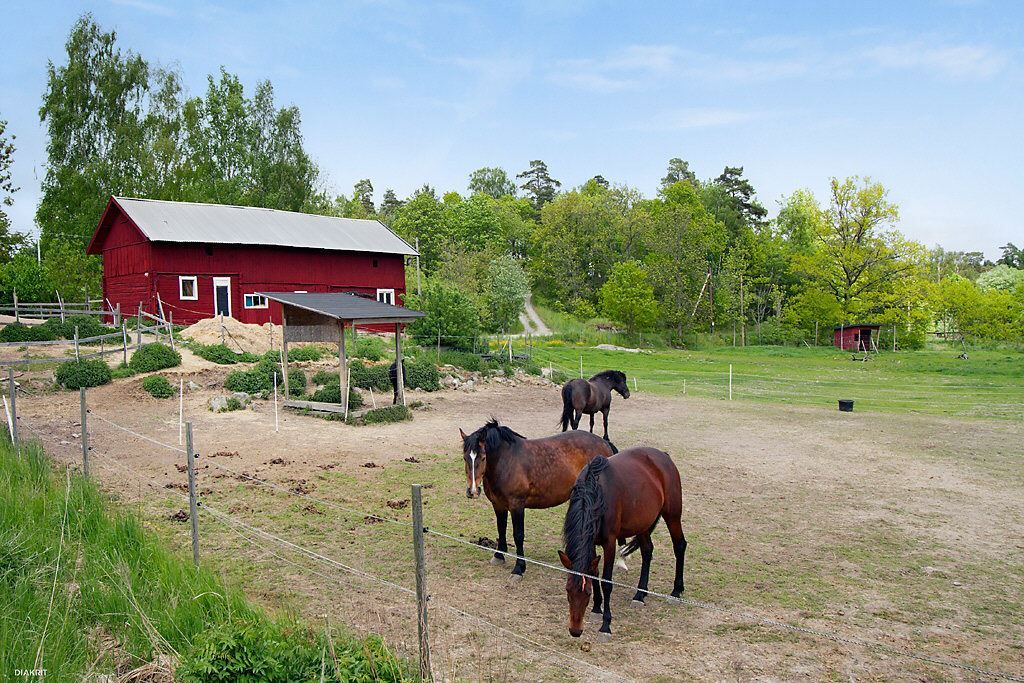 Pittoreska Barnviks By med stall
