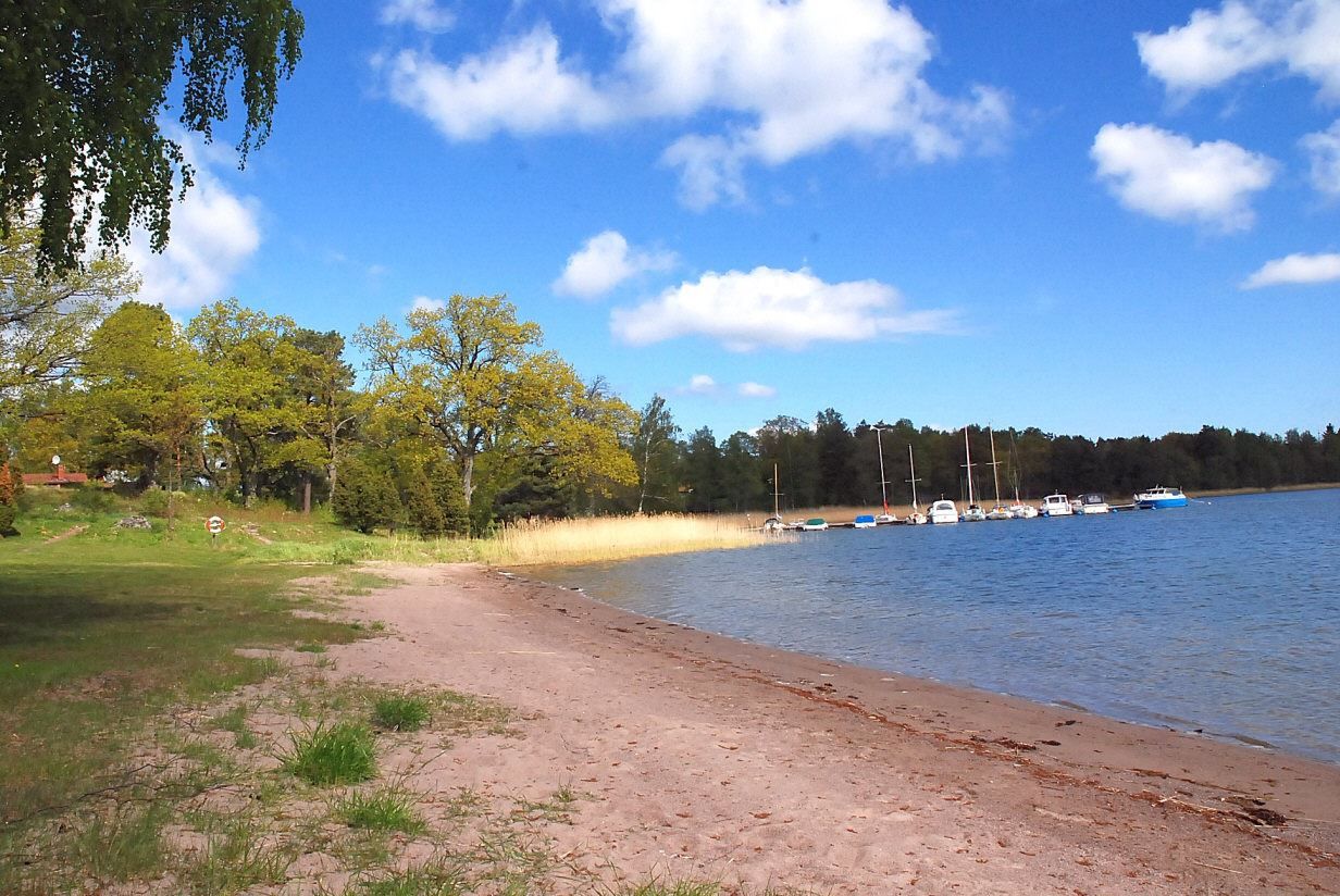 Områdets sandstrand.