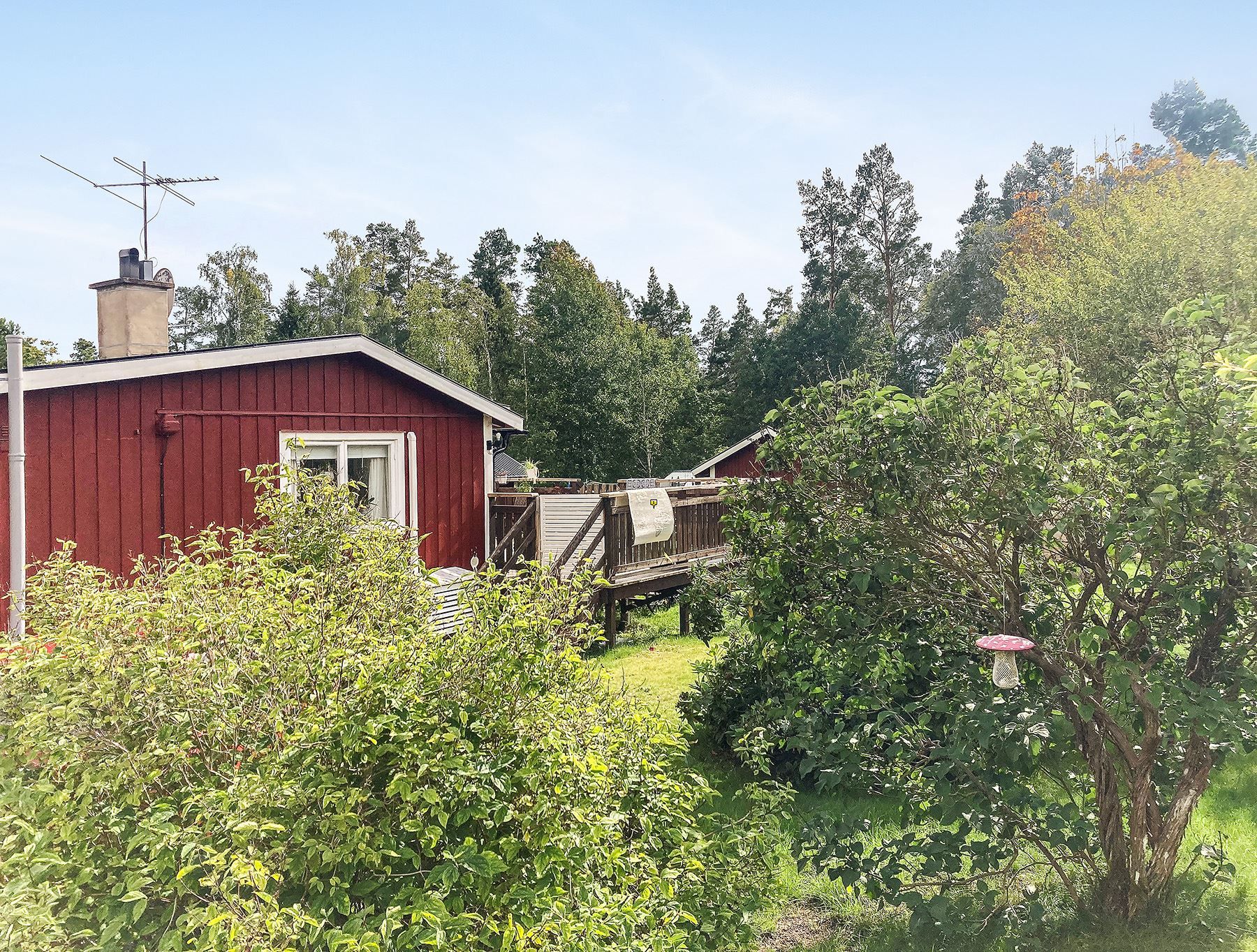 Säljarens sommarbild