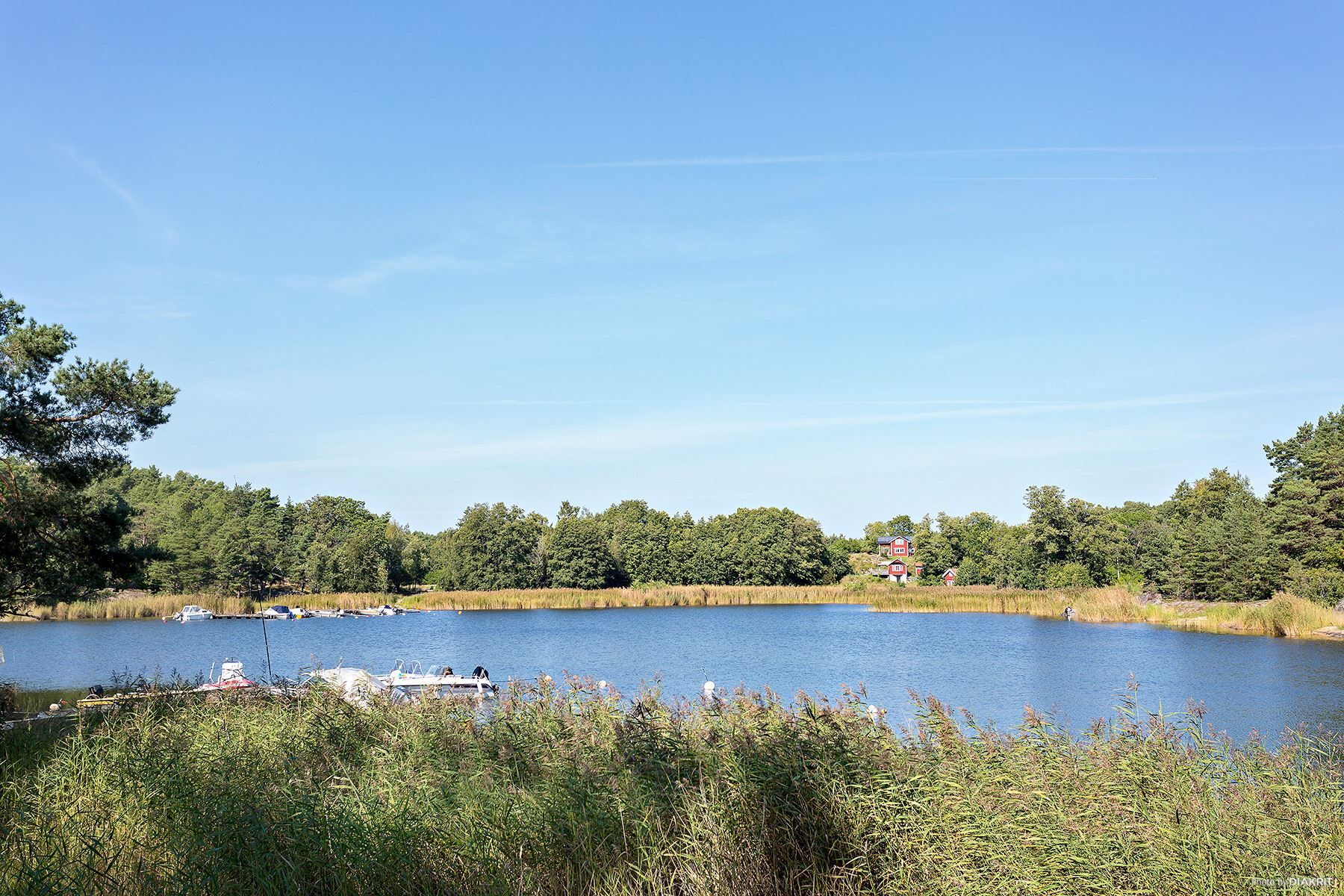 Viken Maren