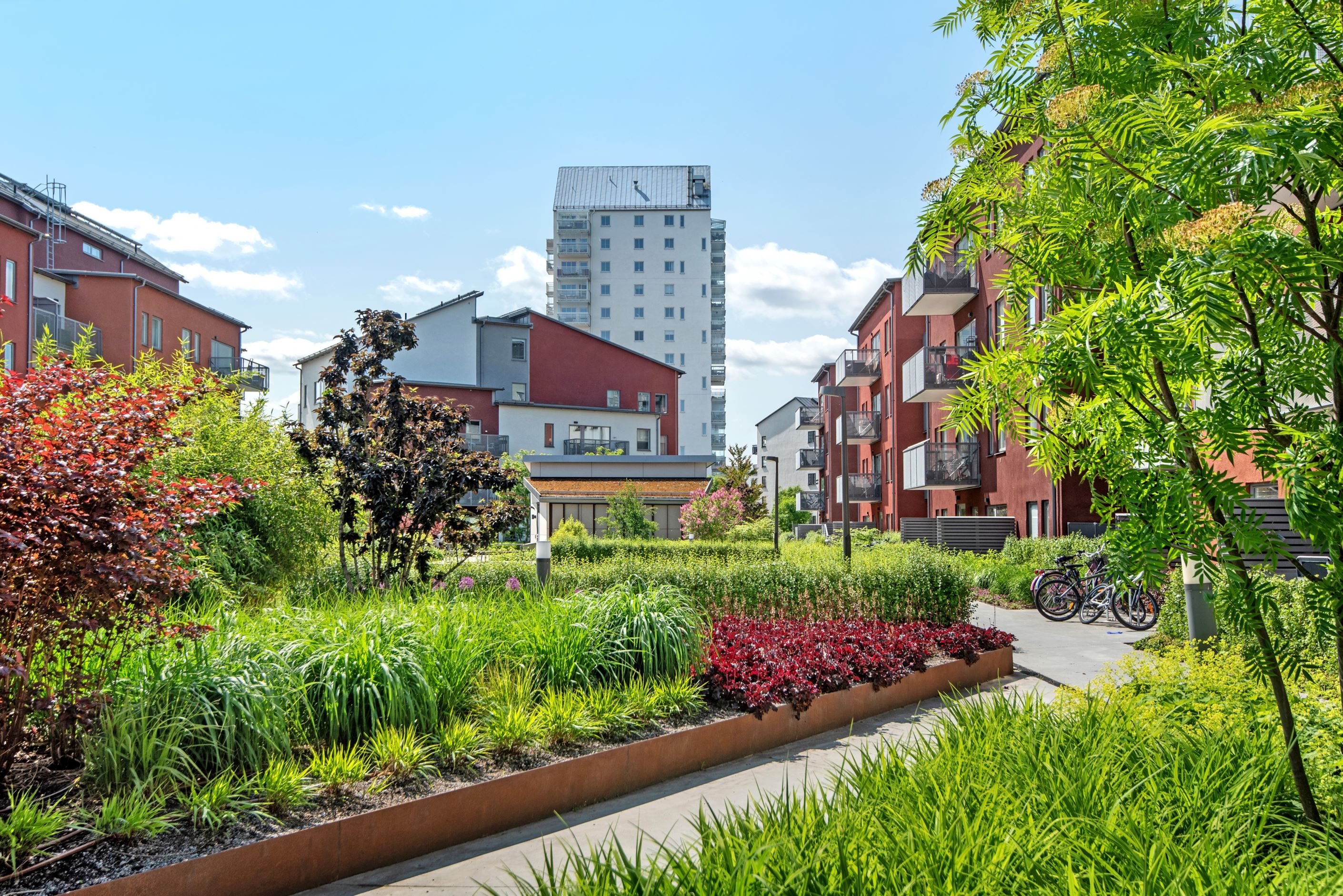 Föreningens fina gård