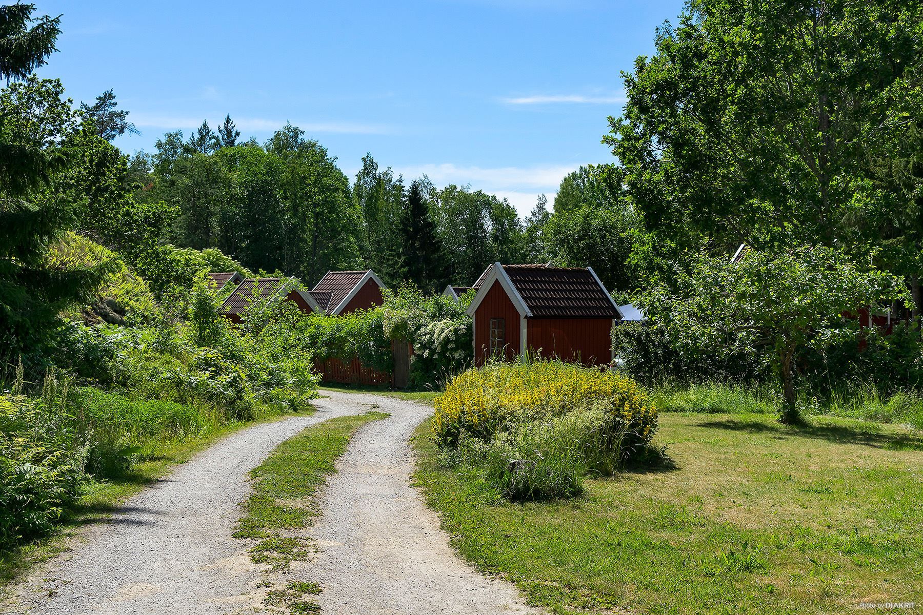 Hjortens Odling