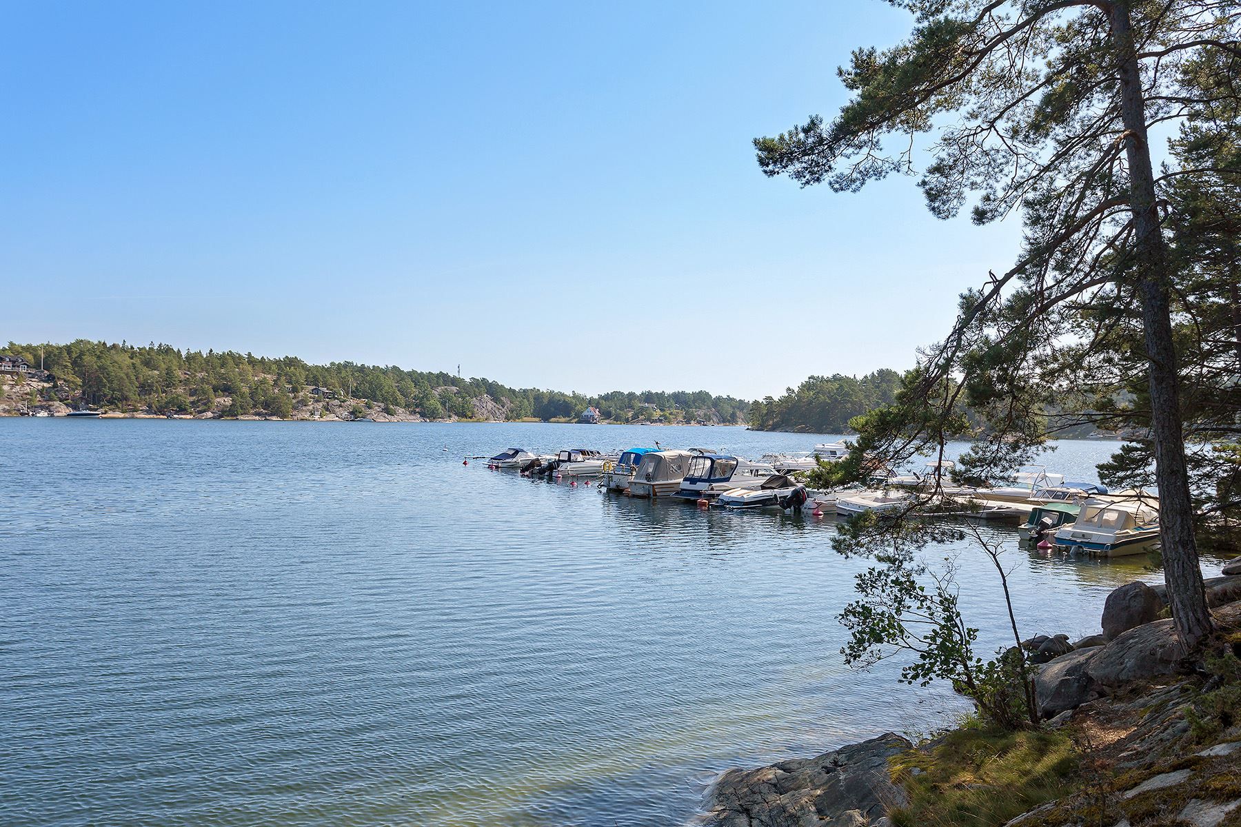 Områdets samfällda brygga