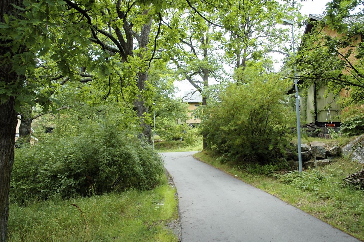 Härliga promenadstråk i lummig natur