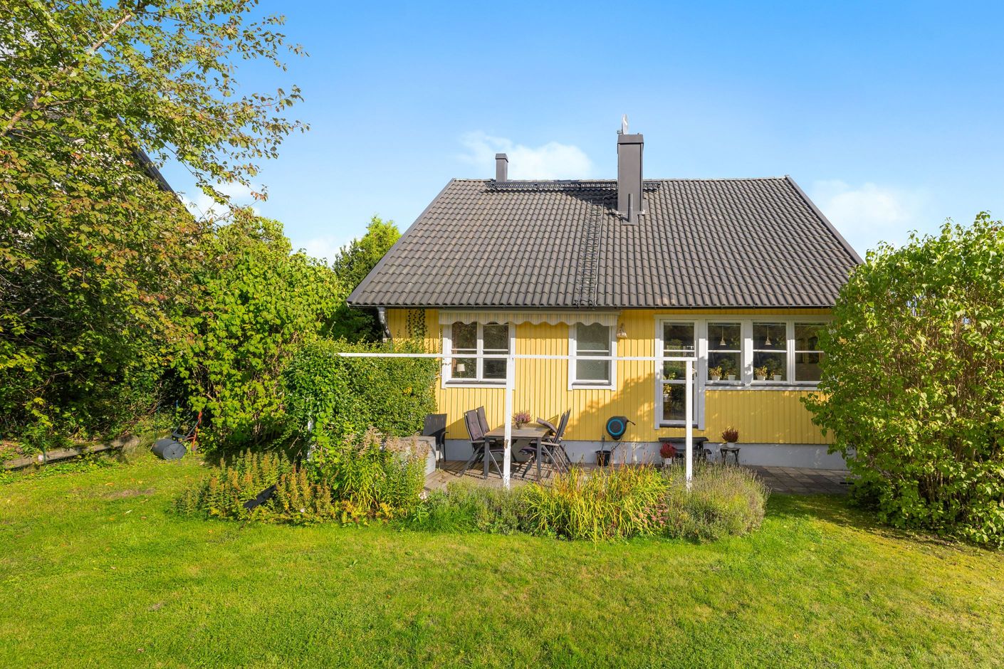 Plan gräsmatta
