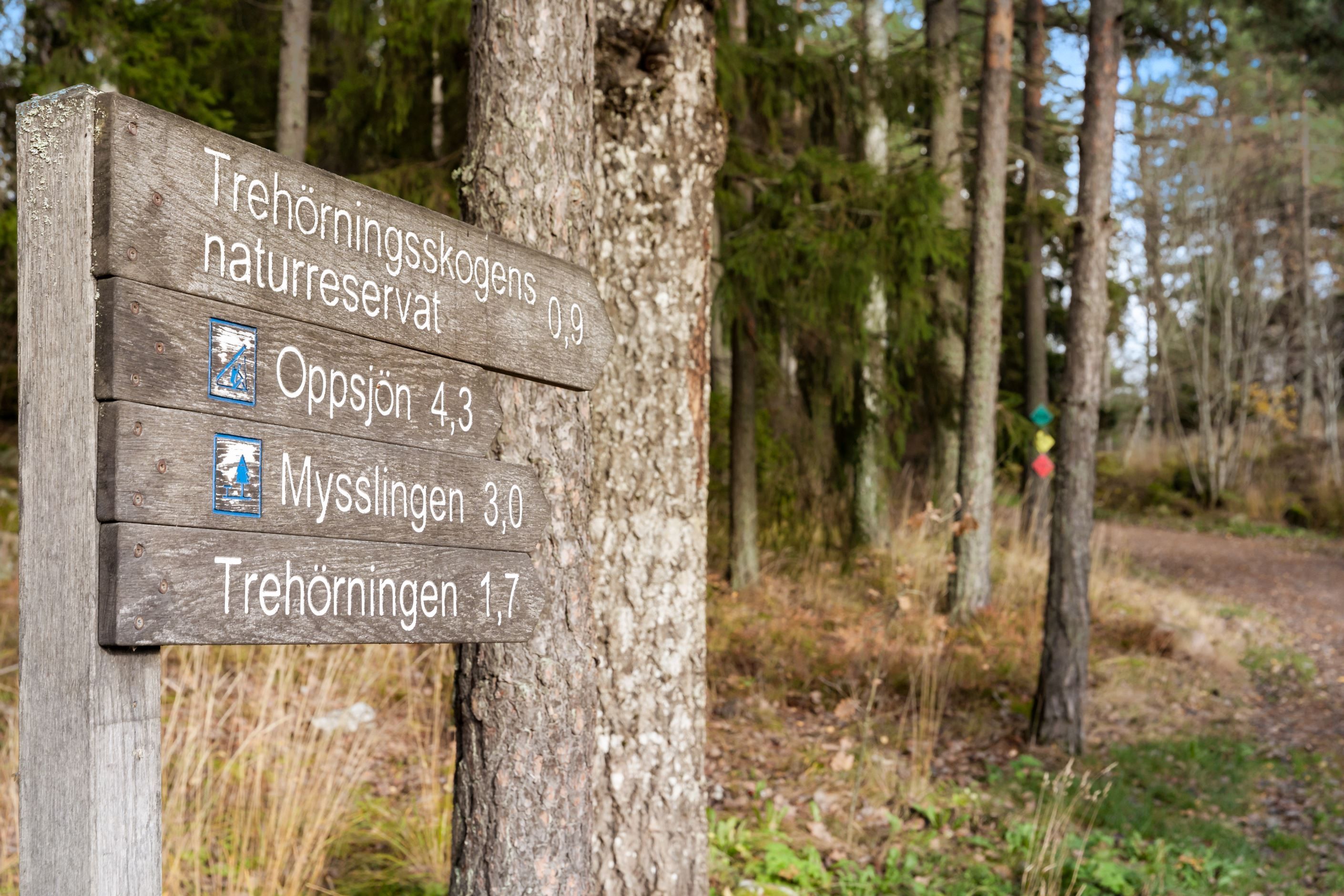 Från Domarudden finns Roslagsleden, och andra vandringsspår, som erbjuder härlig vandring