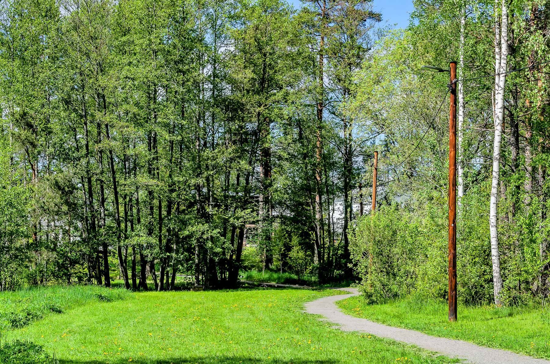 Gångväg till motionsspår
