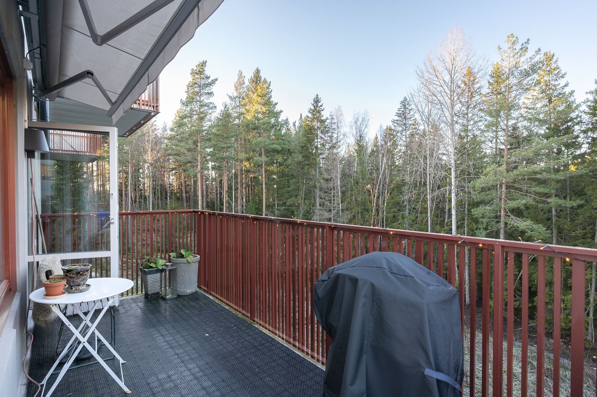 Skogen som närmsta granne