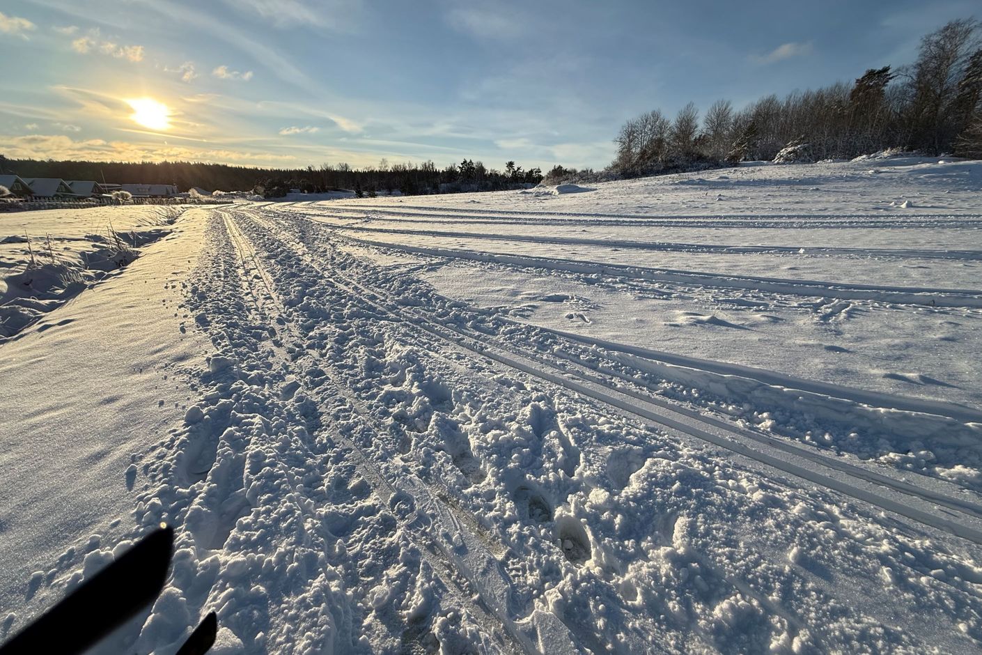 Skidspår nära huset