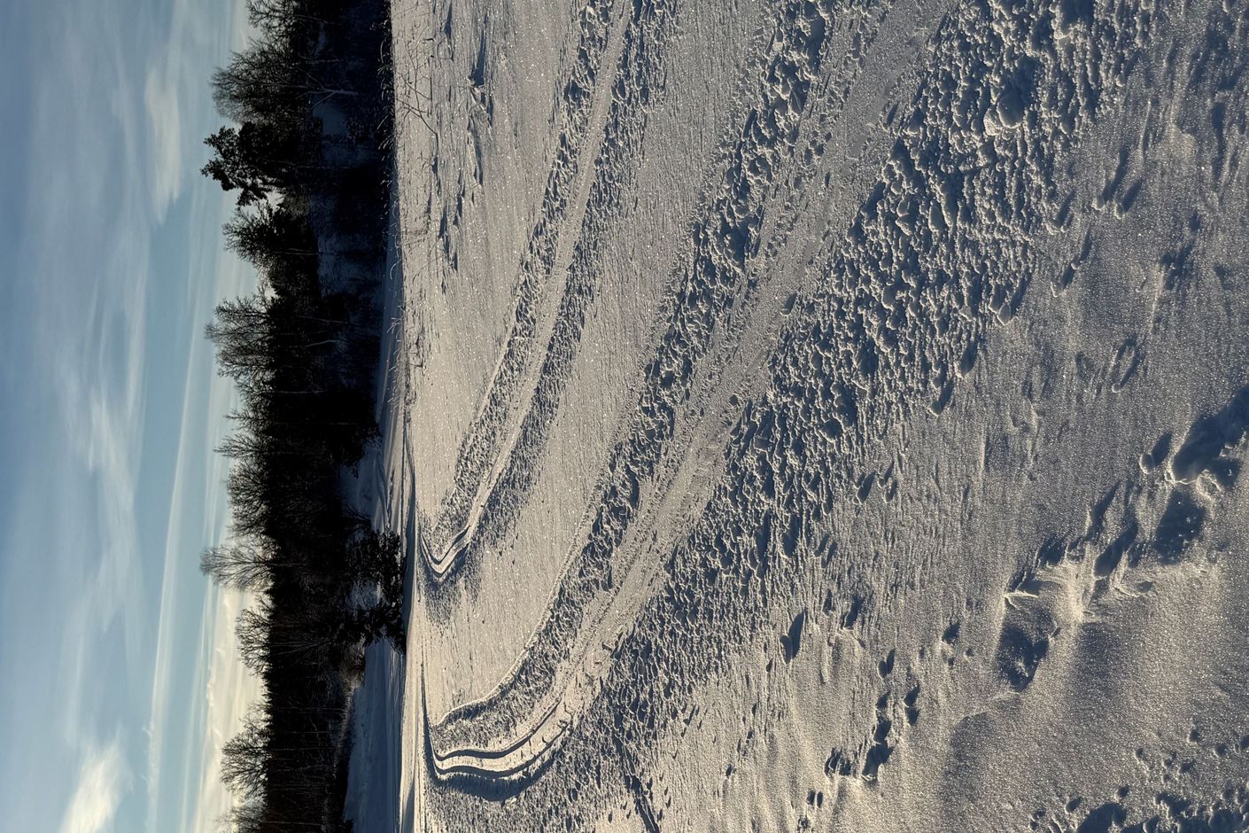 Skidspår nära huset