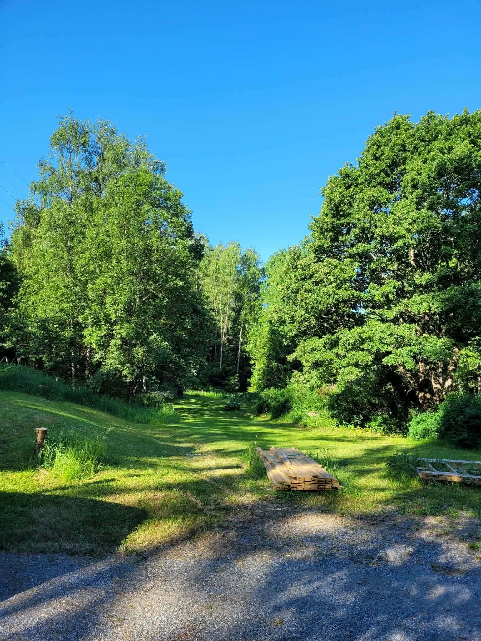 Sommarbild på tomten