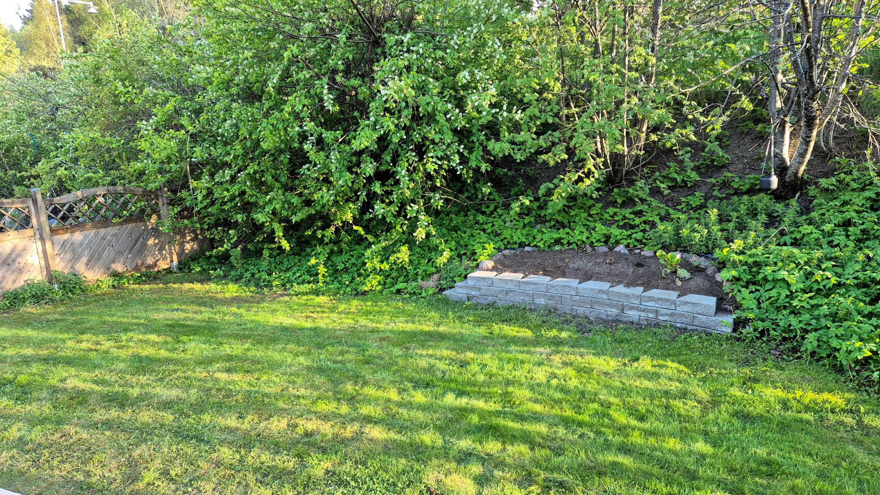 Insynsskyddad baksida