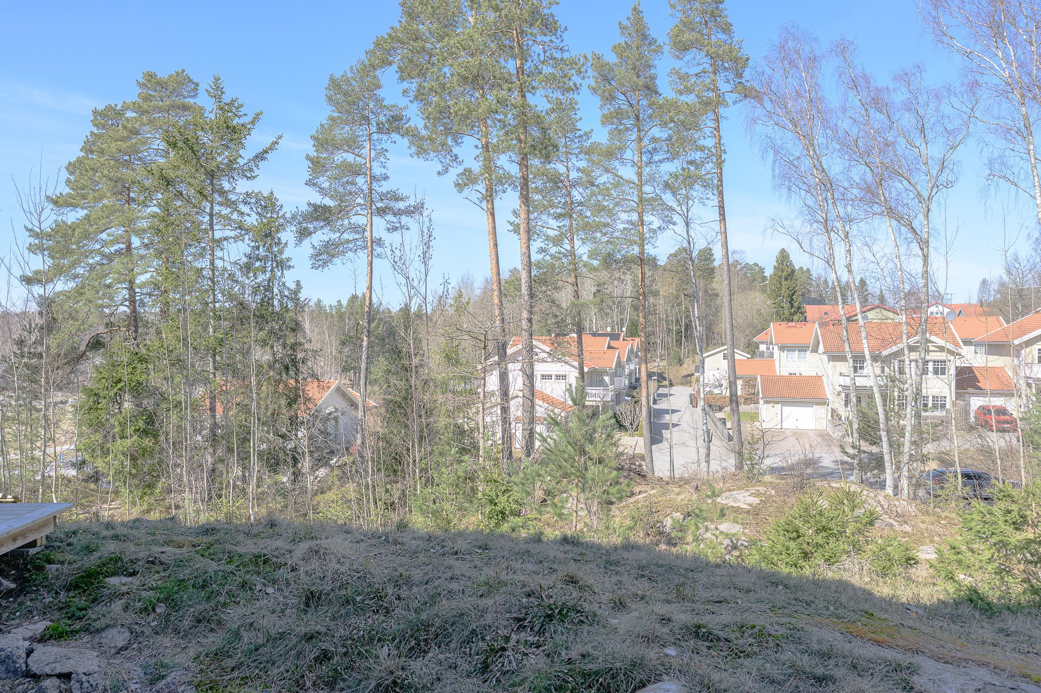 Med skogen som granne