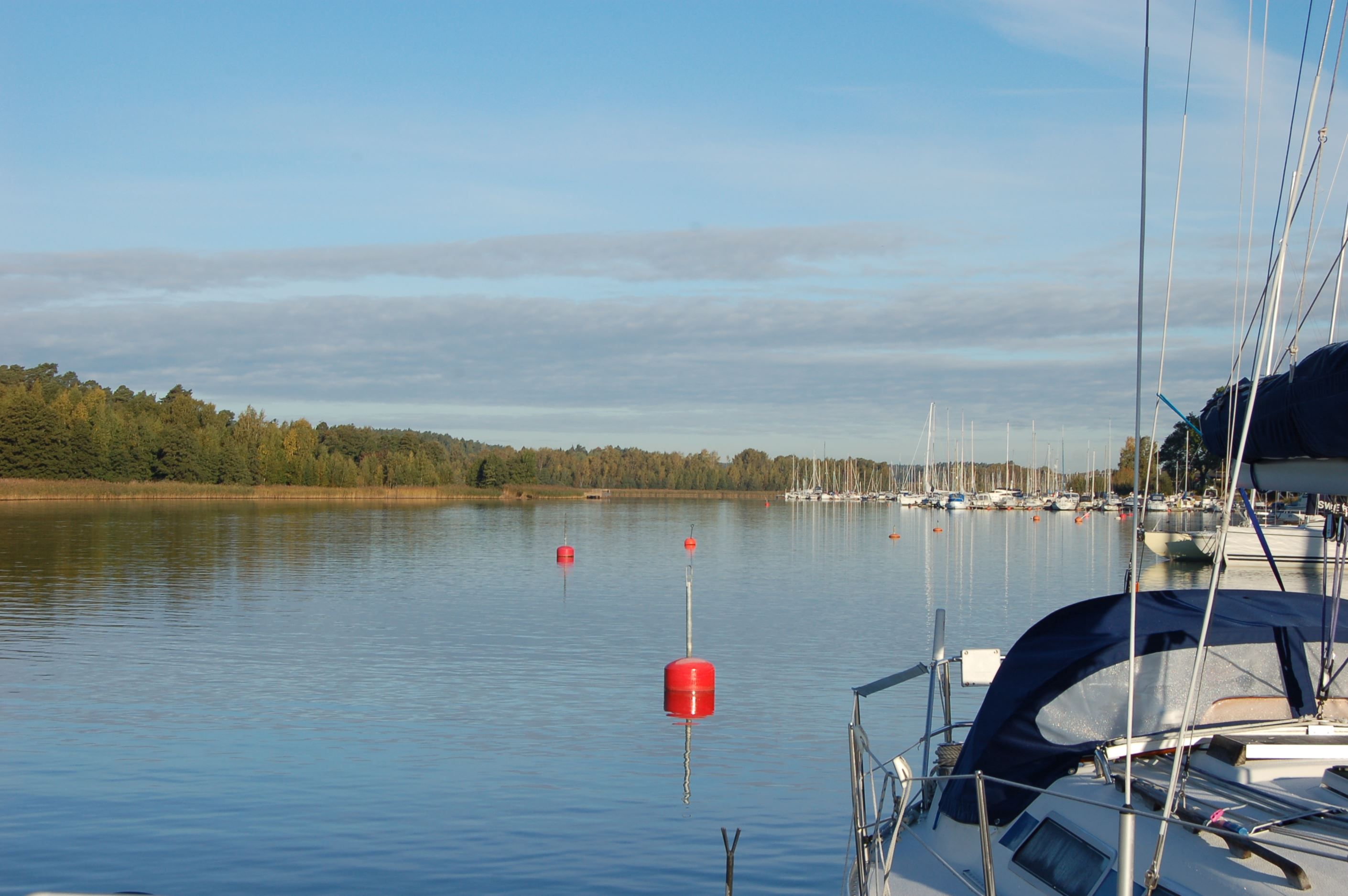 Tunaviken