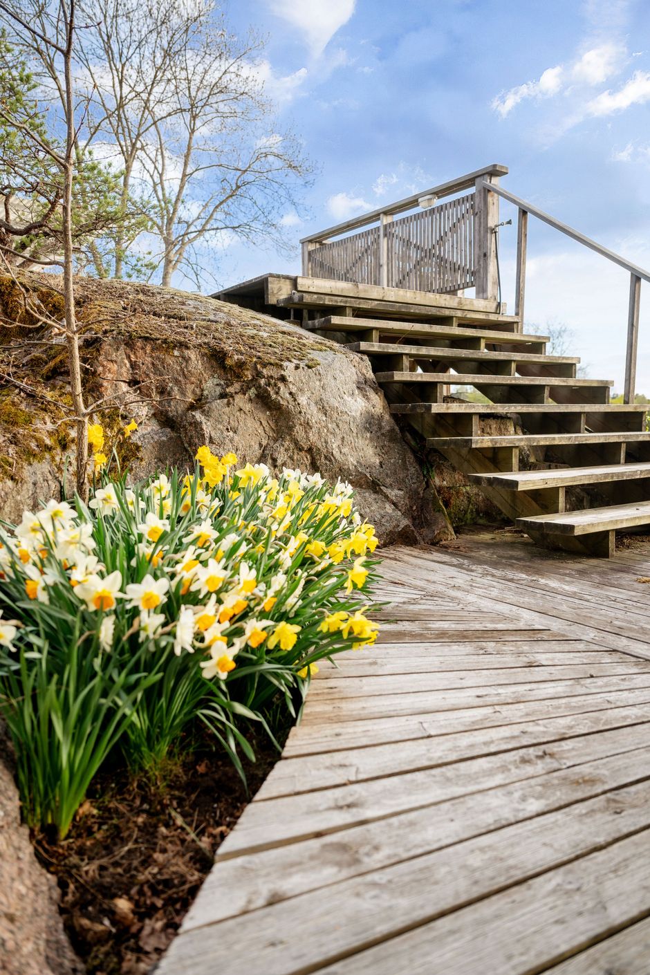 Vår
