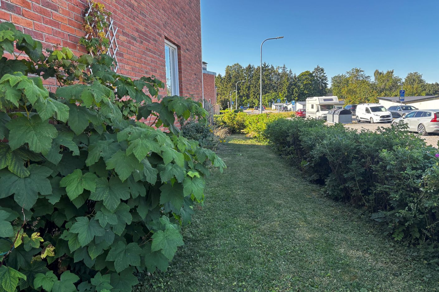 Exteriör