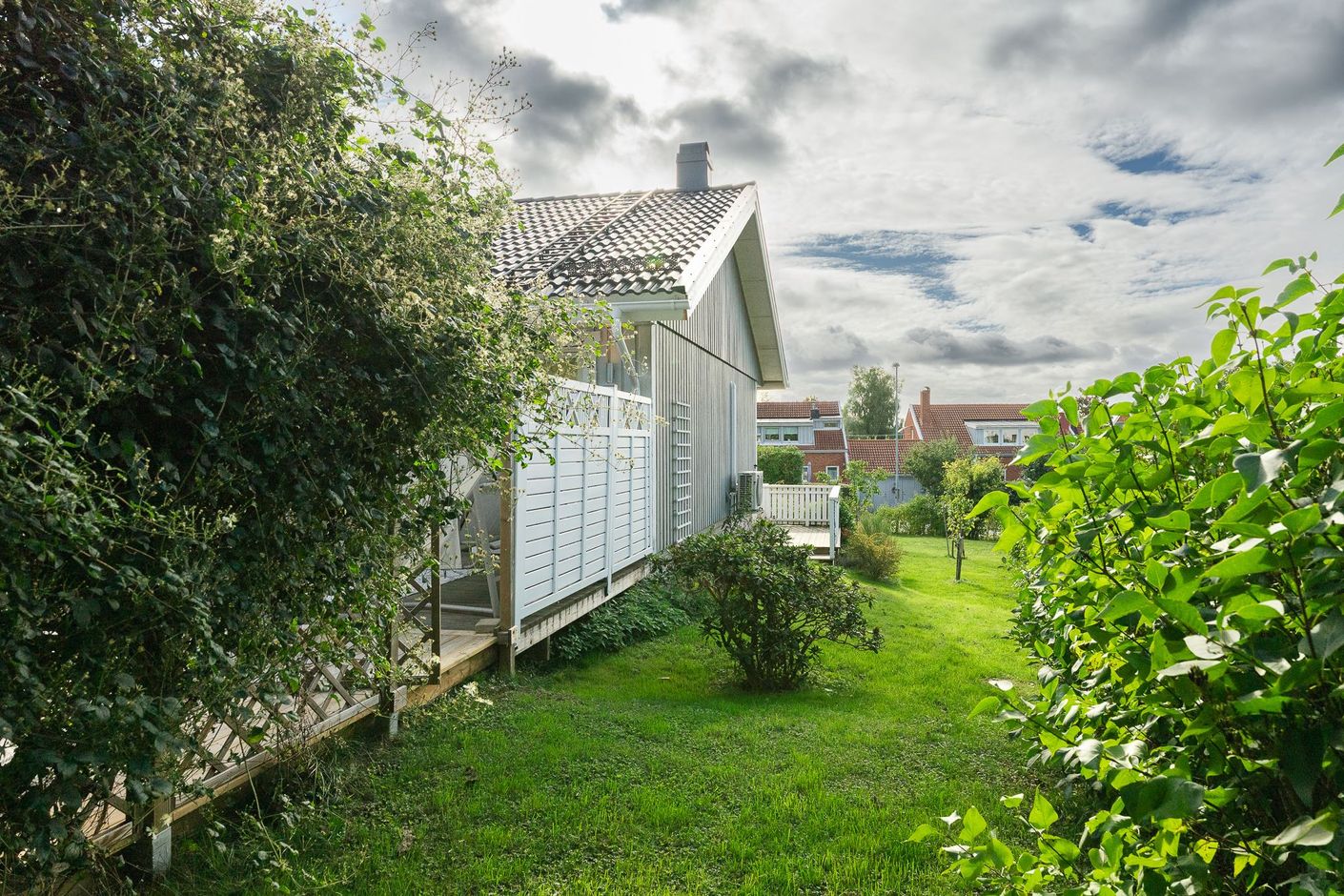 Trädgård