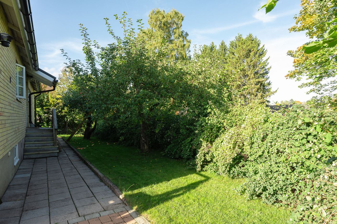 Lummig och välskött trädgård