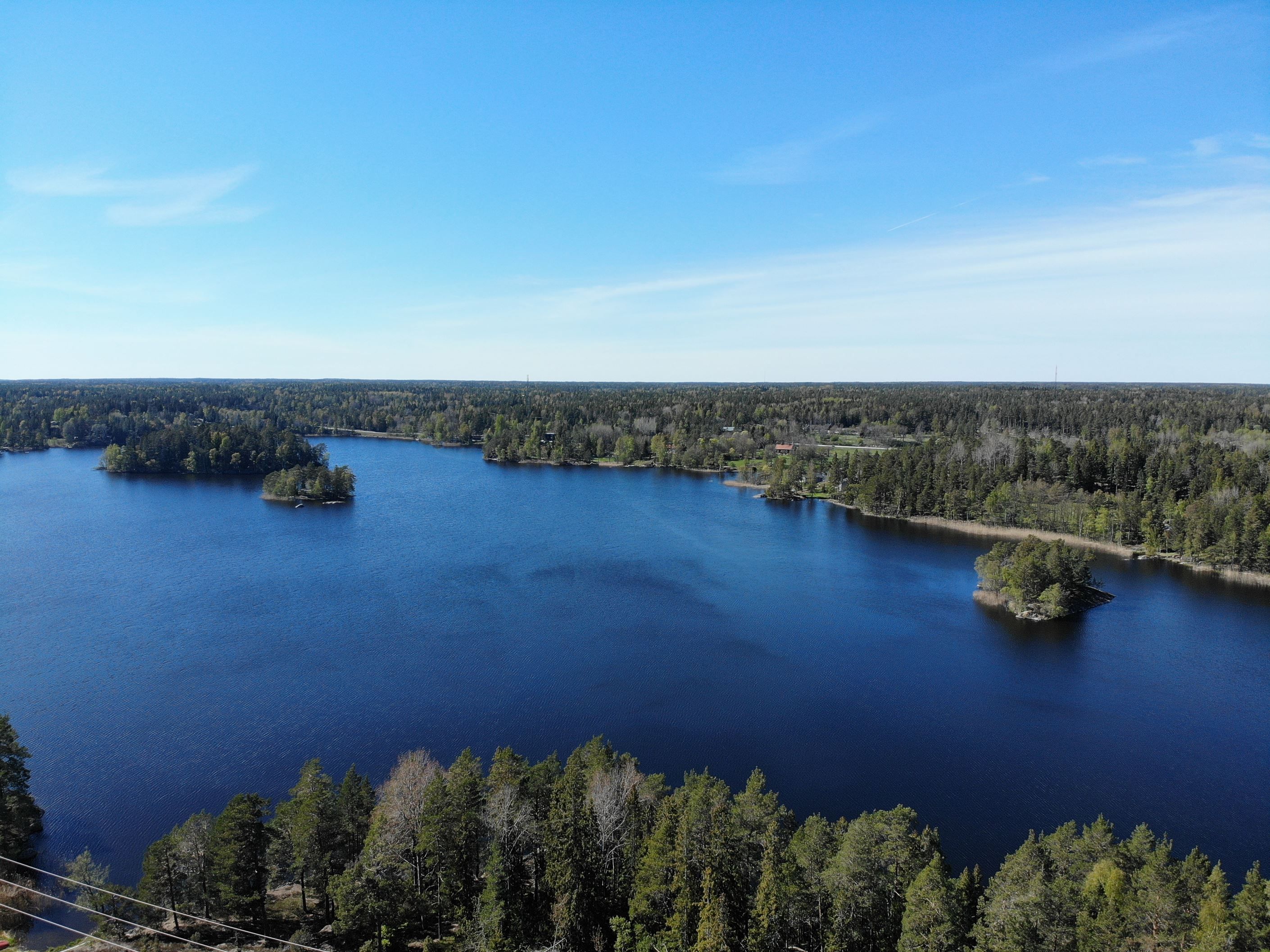 Ruggen i direkt närhet