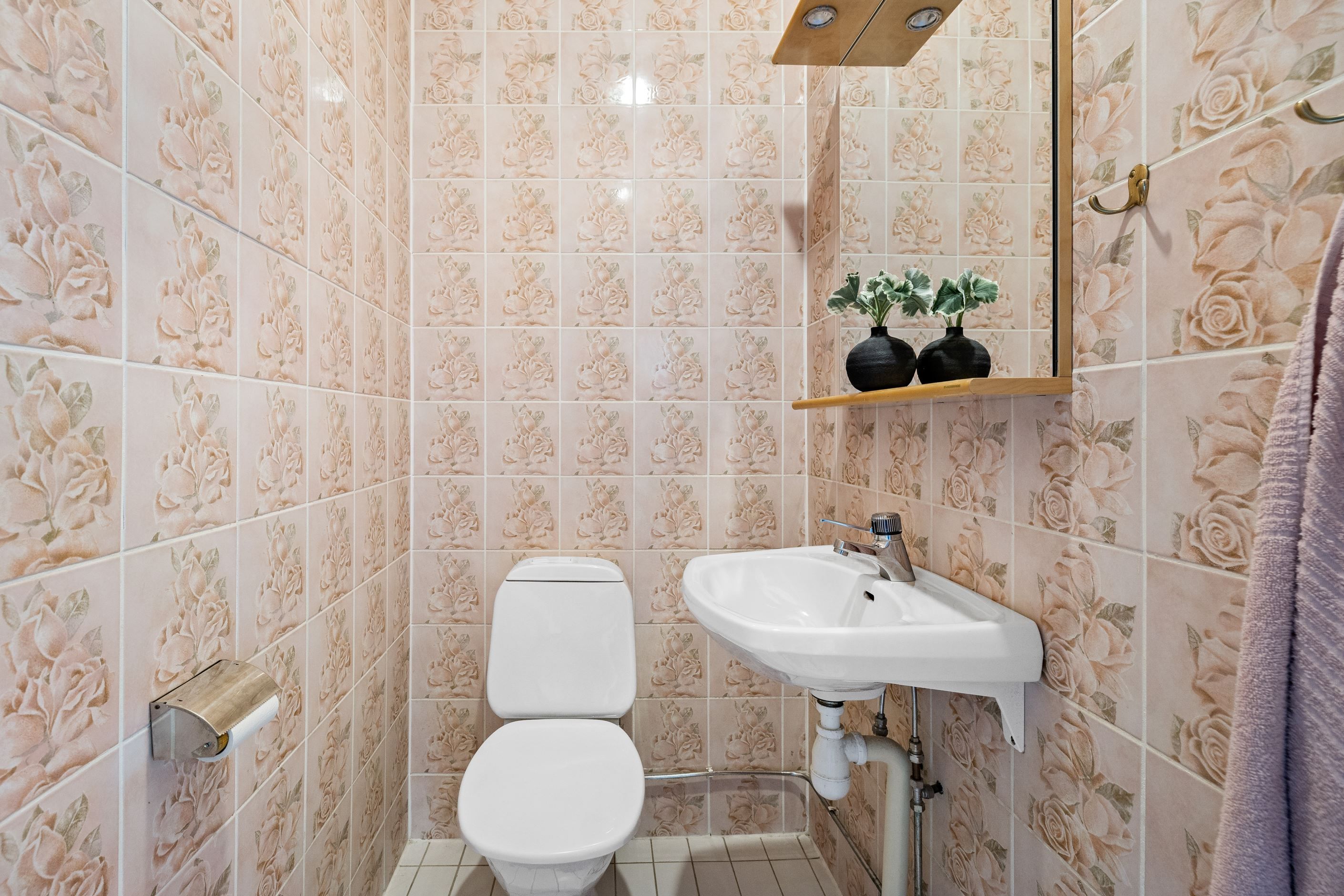 Gäst wc
