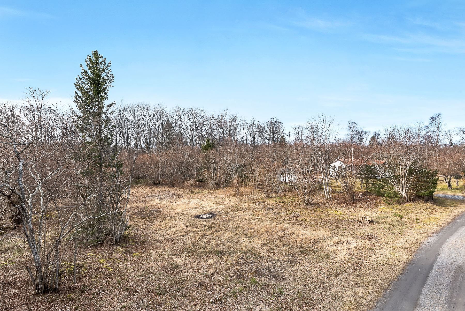 Tomten sett från marken