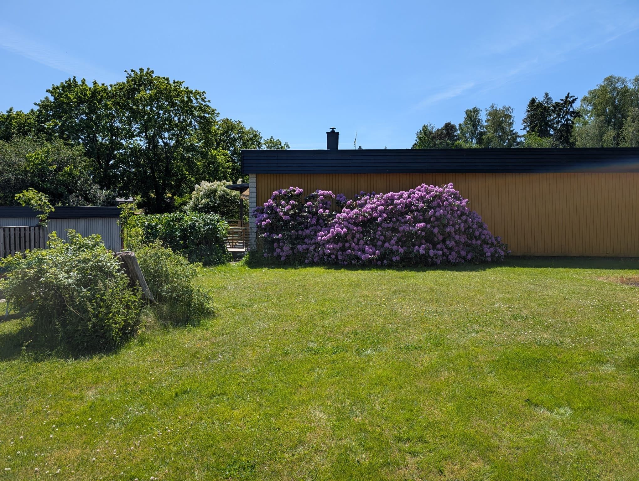 Säljarens bild