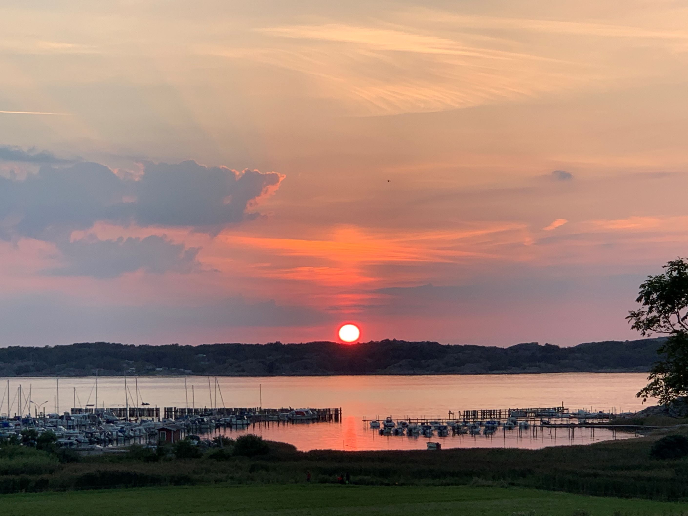 Säljarens bild