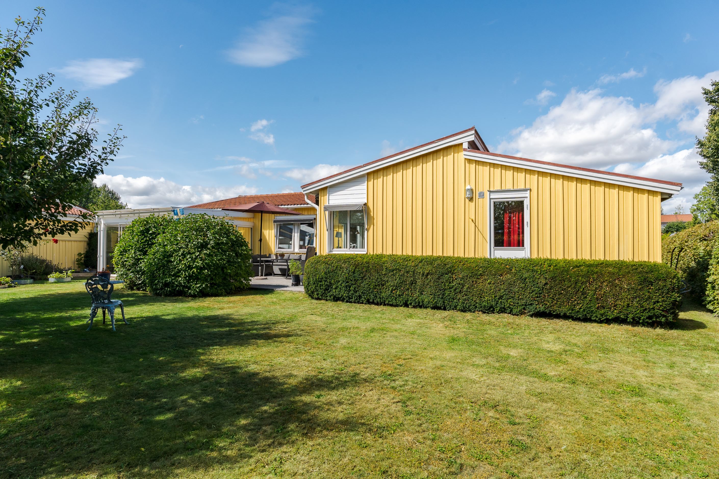 Trädgård