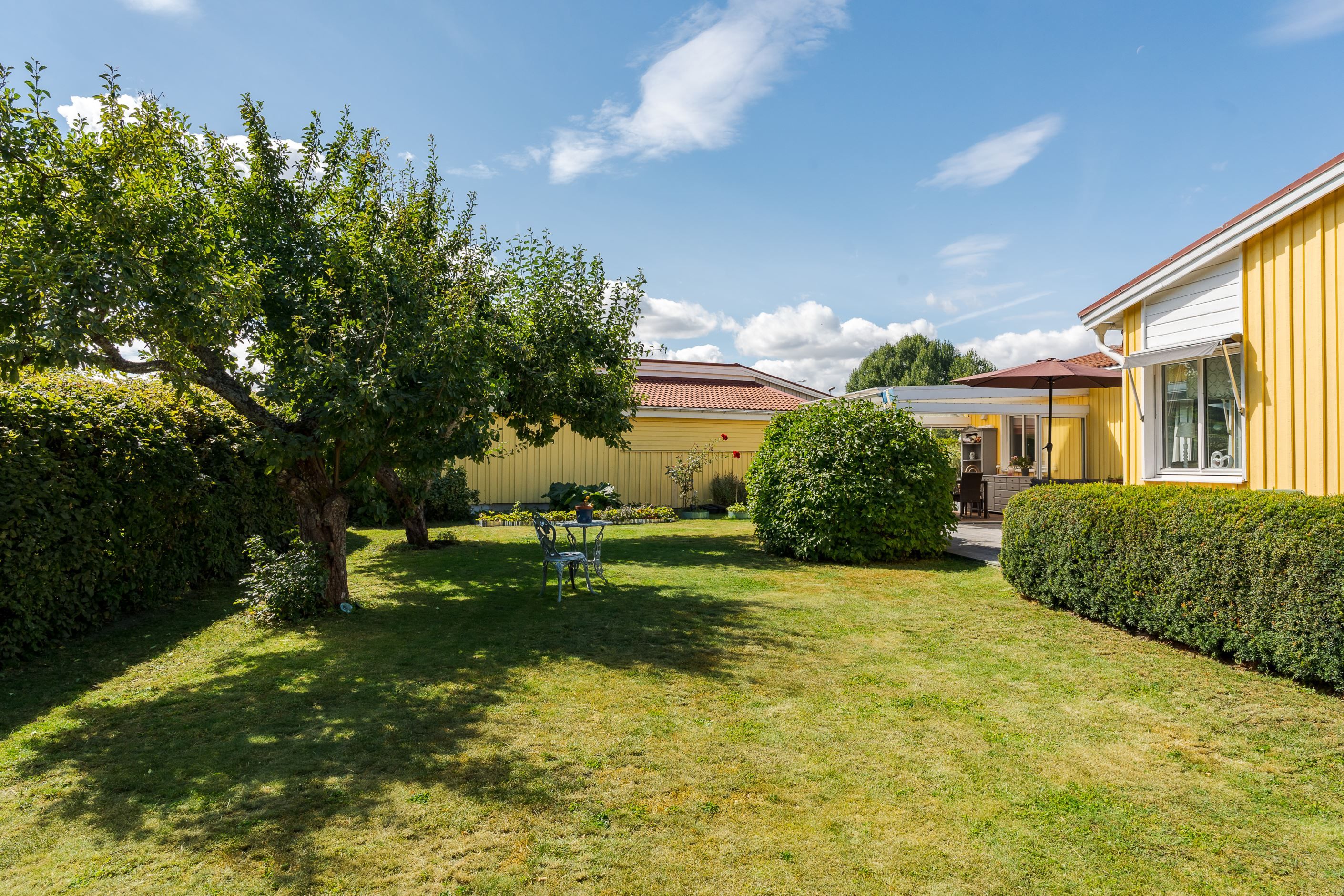 Trädgård