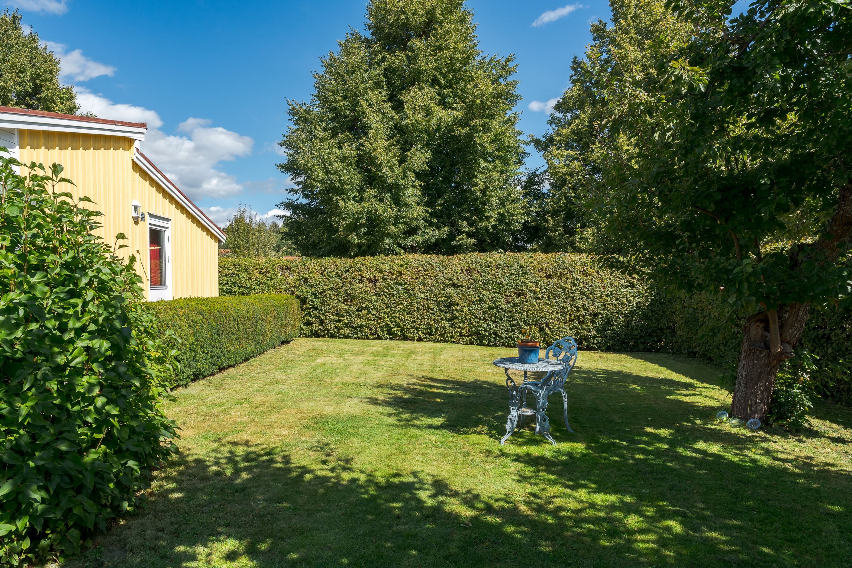 Trädgård