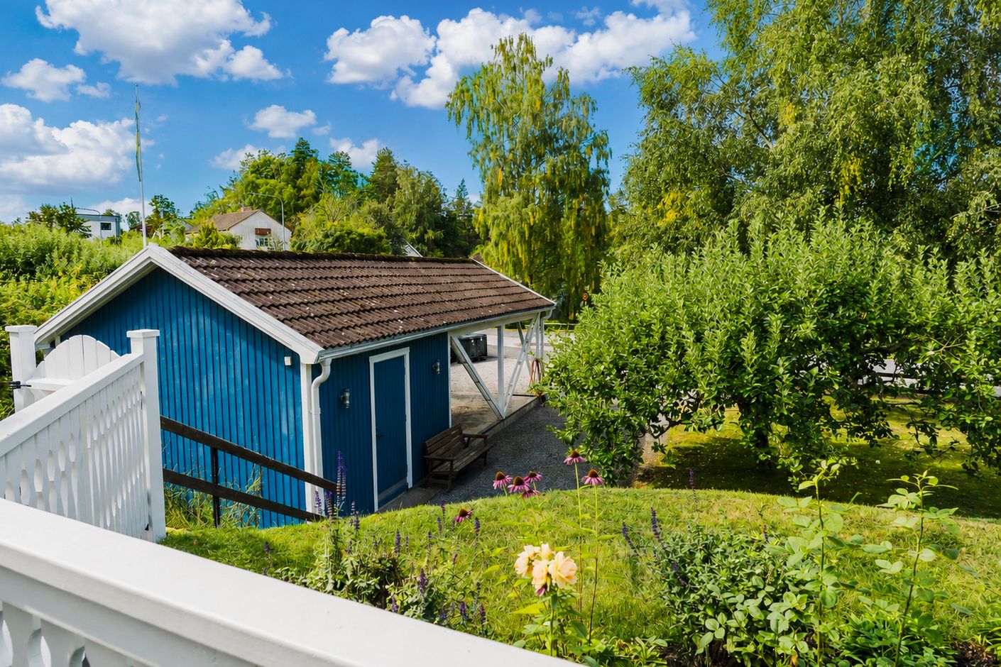 Trädgård