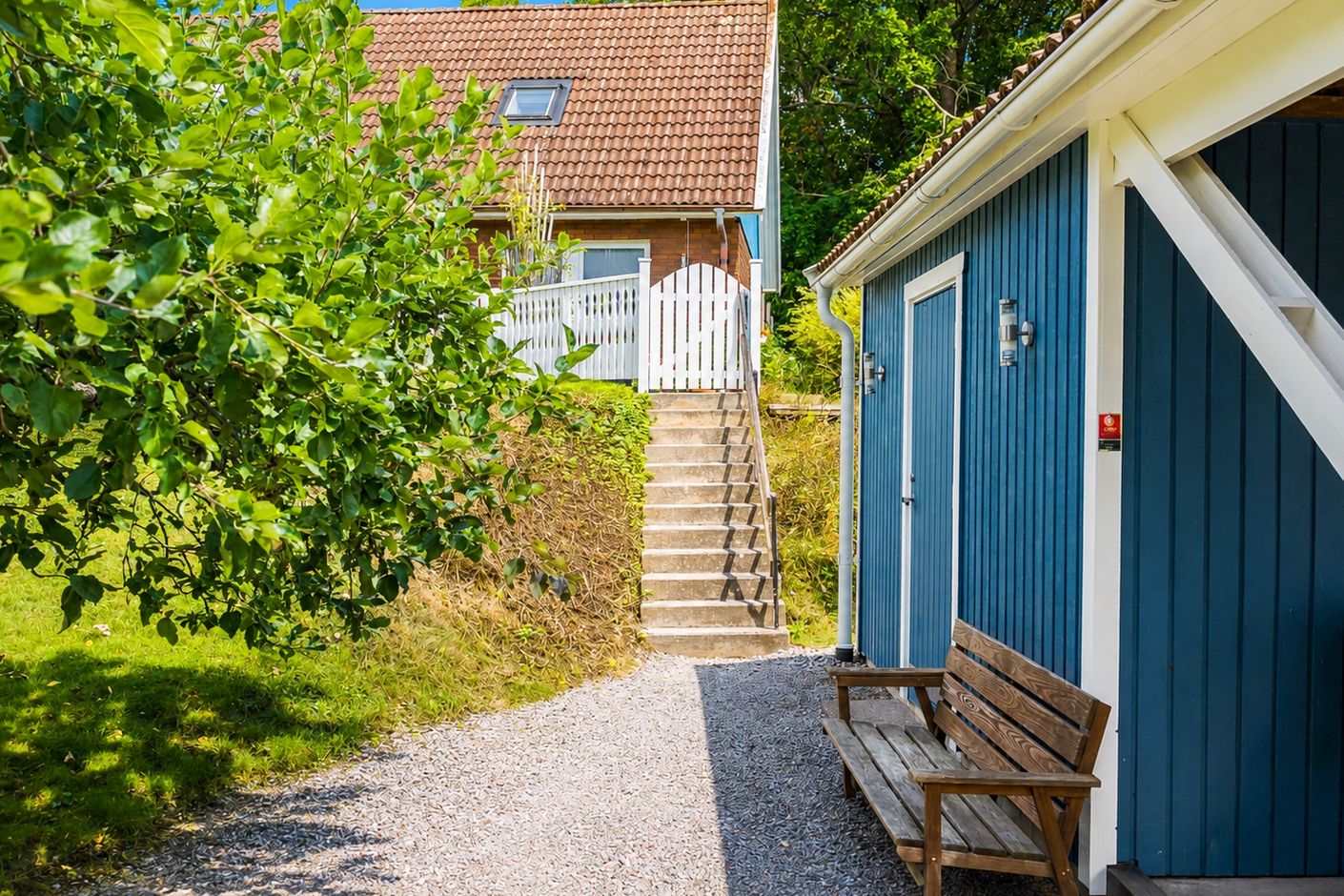 Trädgård