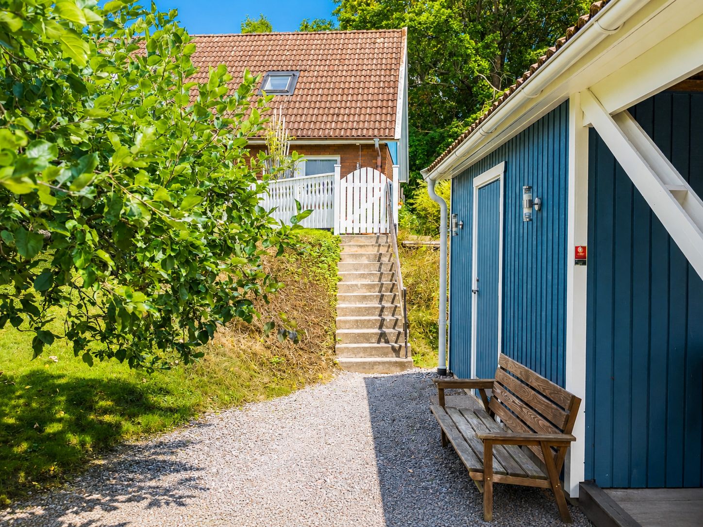 Trädgård