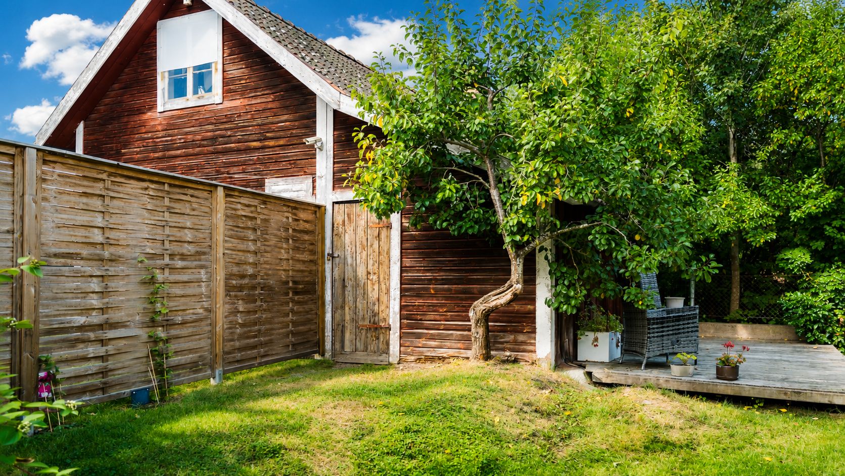 Trädgård
