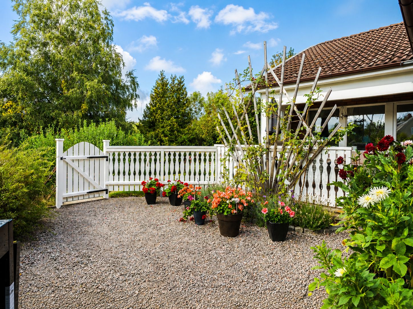 Trädgård
