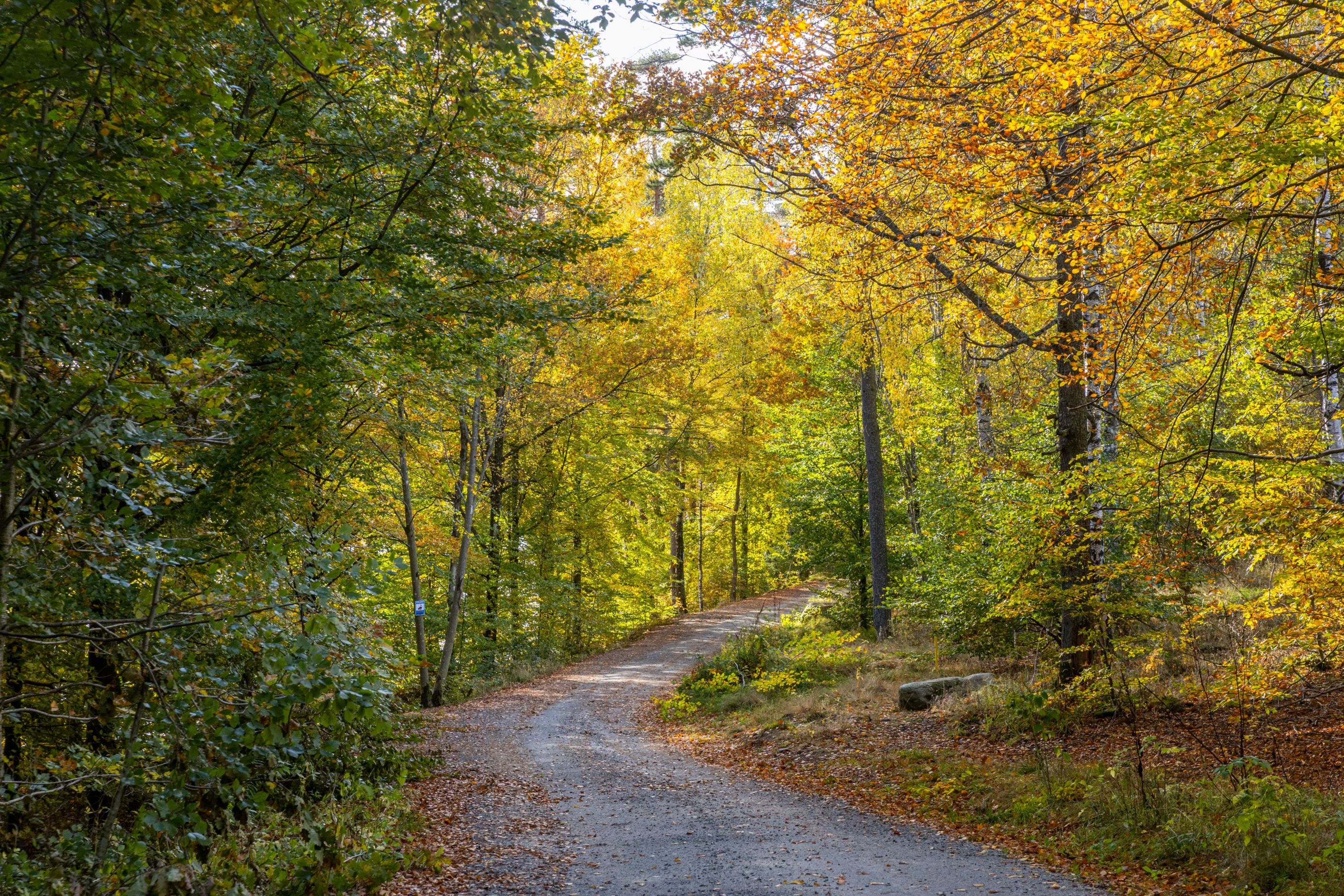 Promenadstråk kring Pickesjön