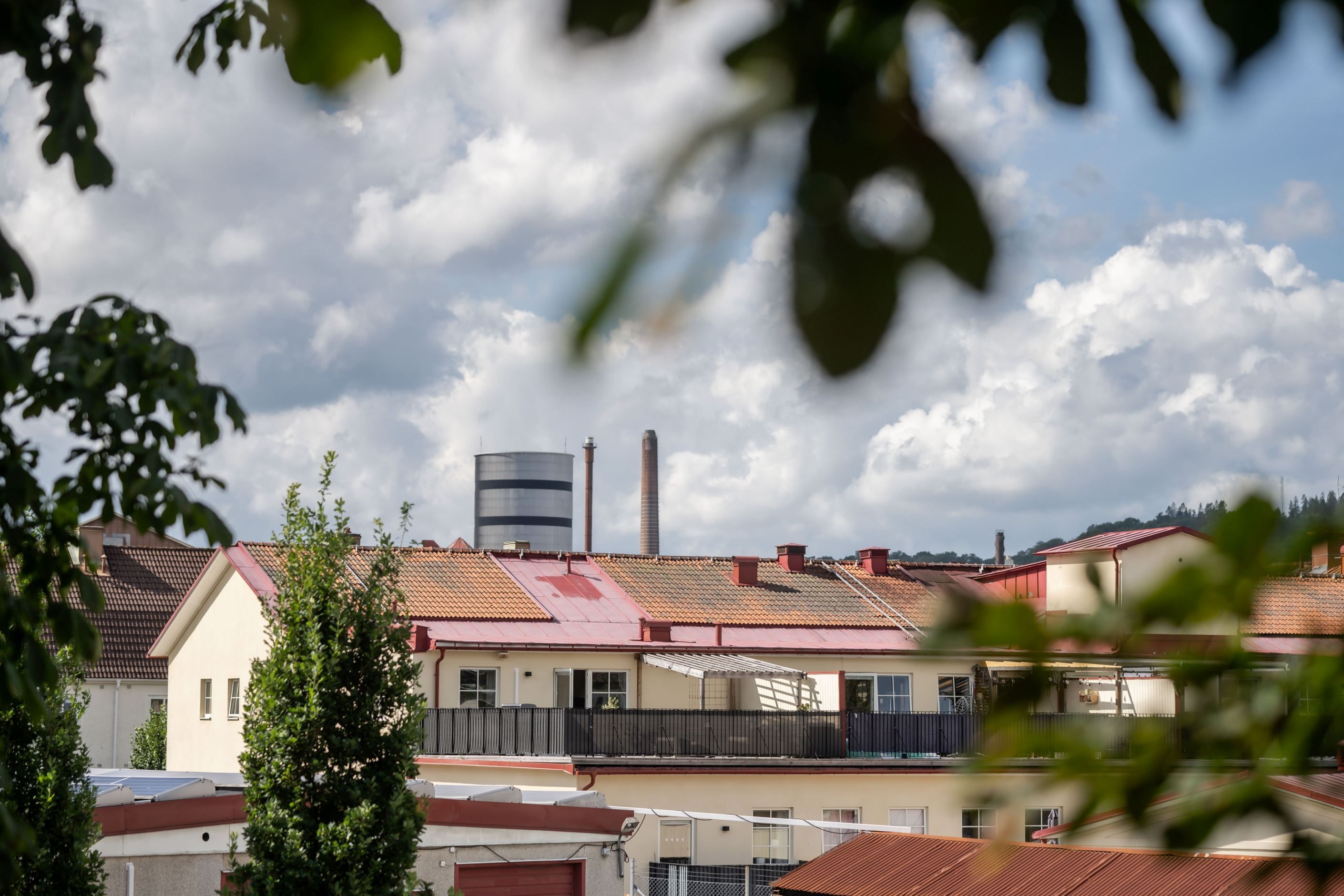 Exteriör