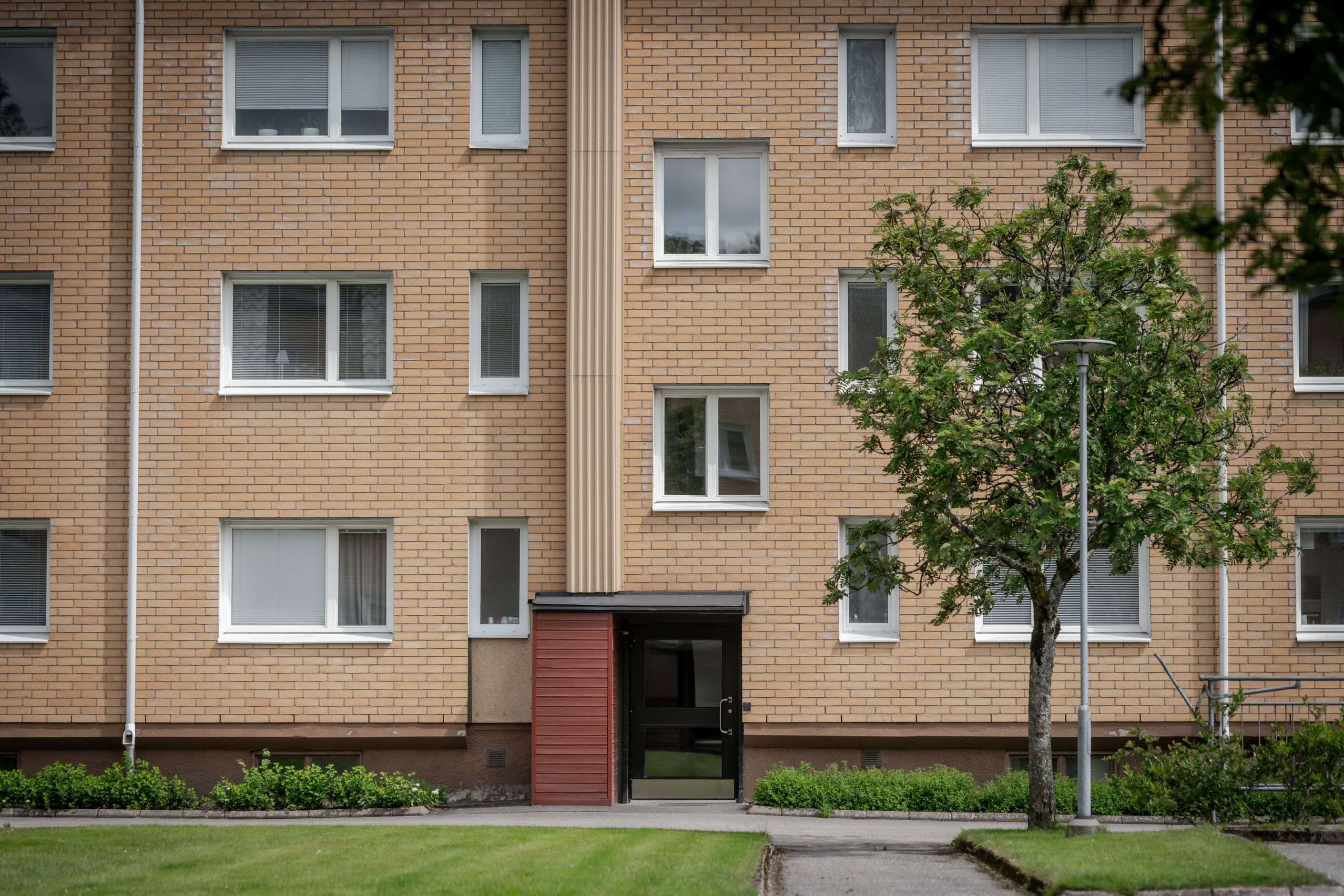 Exteriör