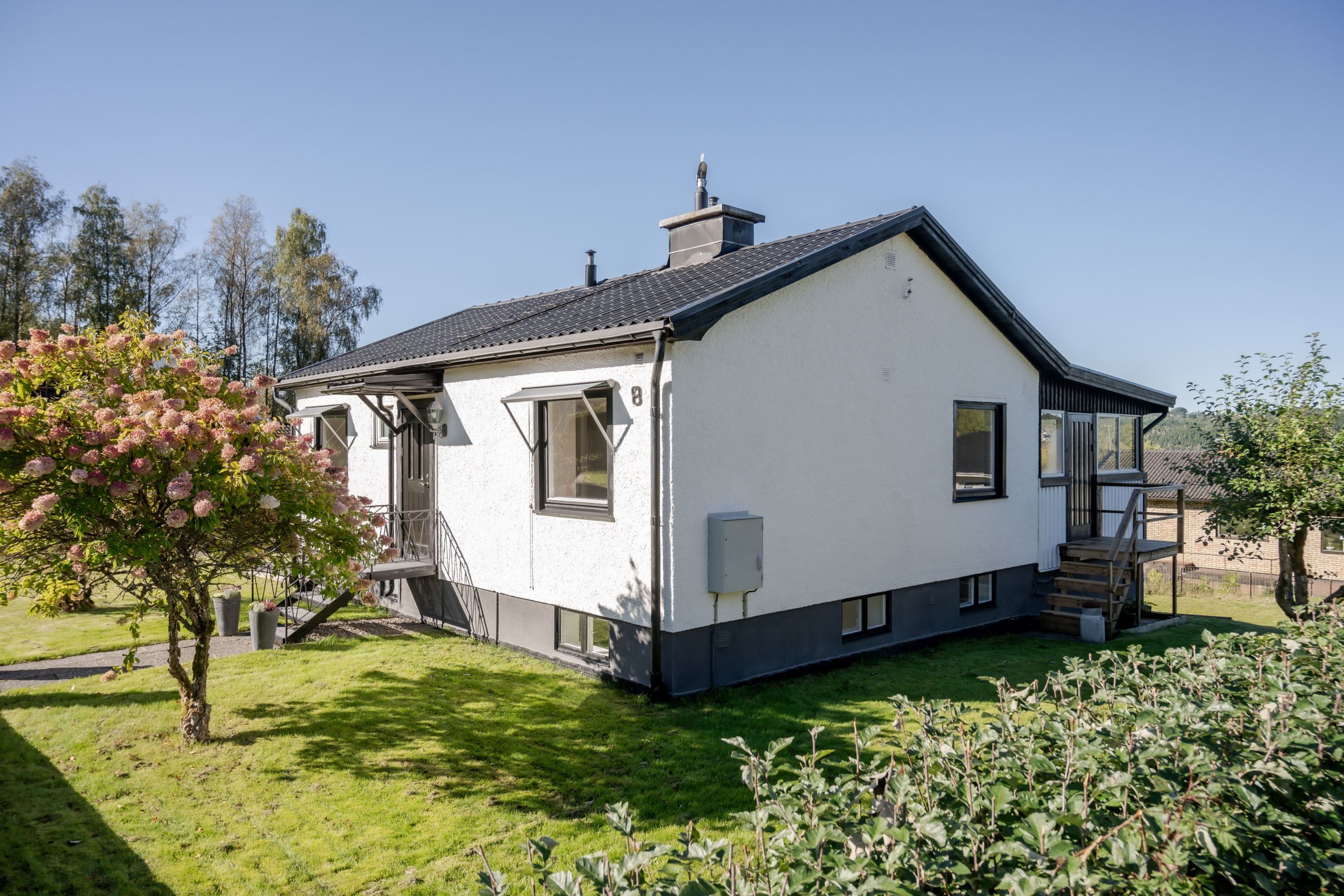 Lummig trädgård med flera träd och buskar