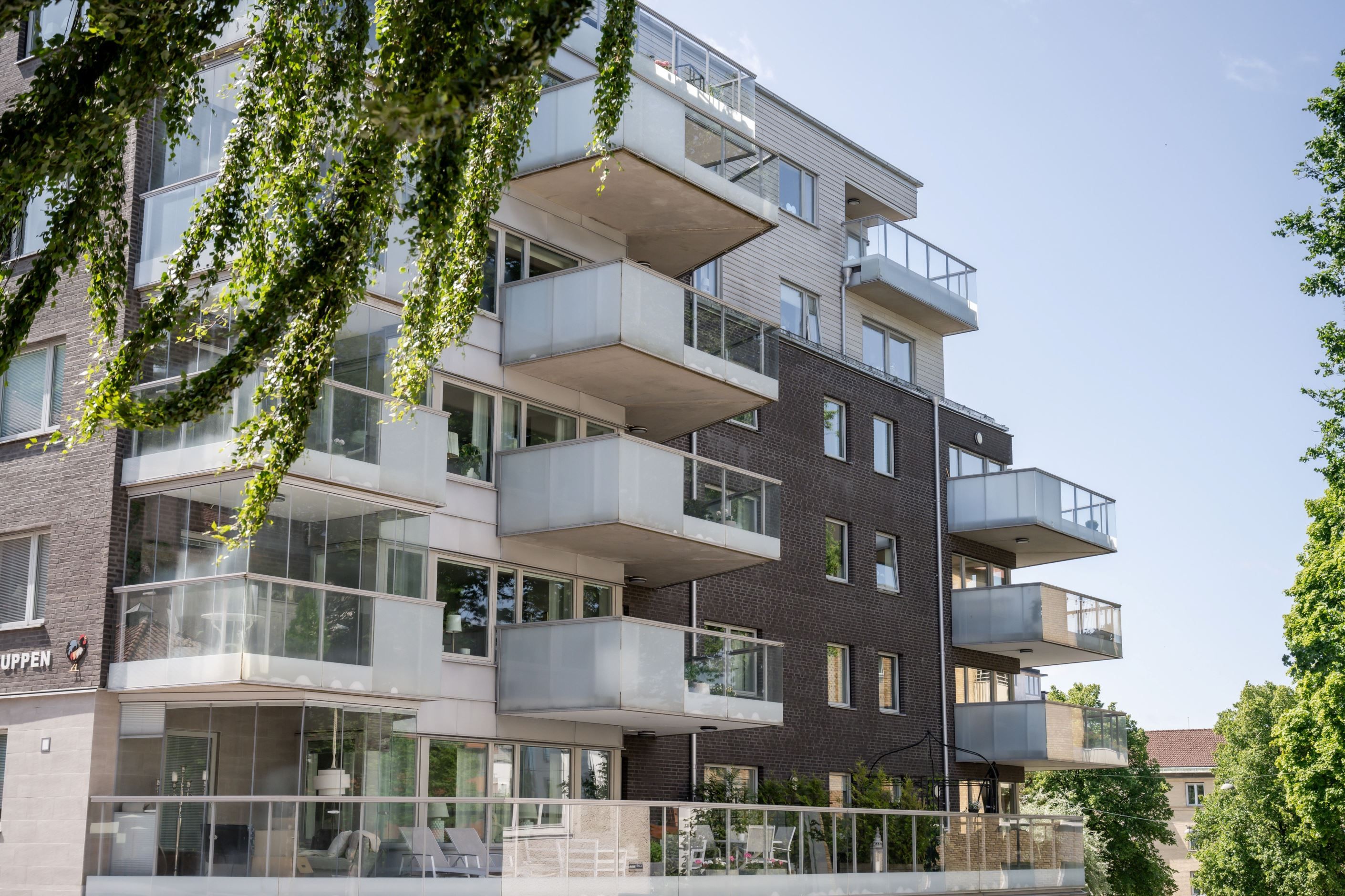Exteriör