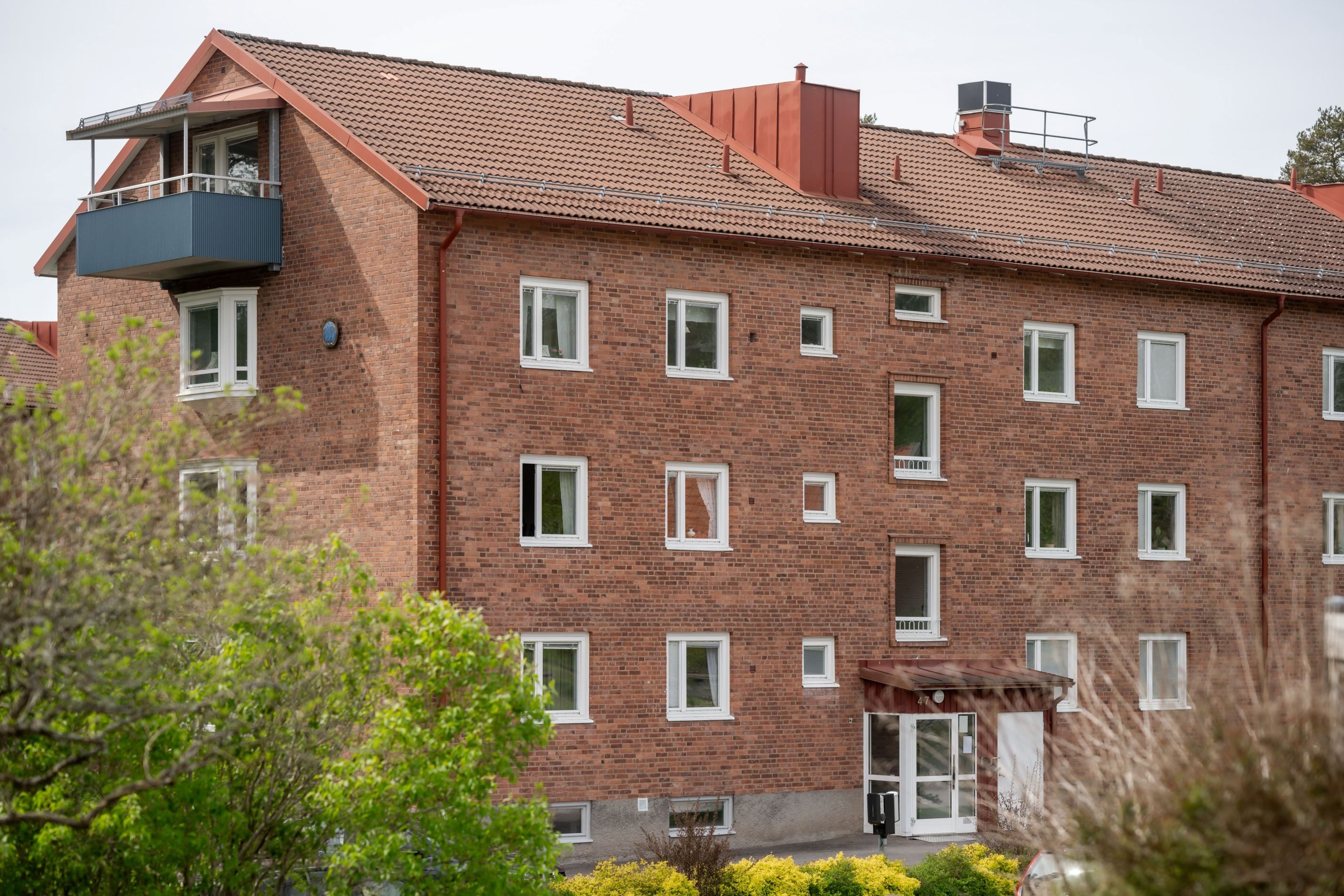 Exteriör