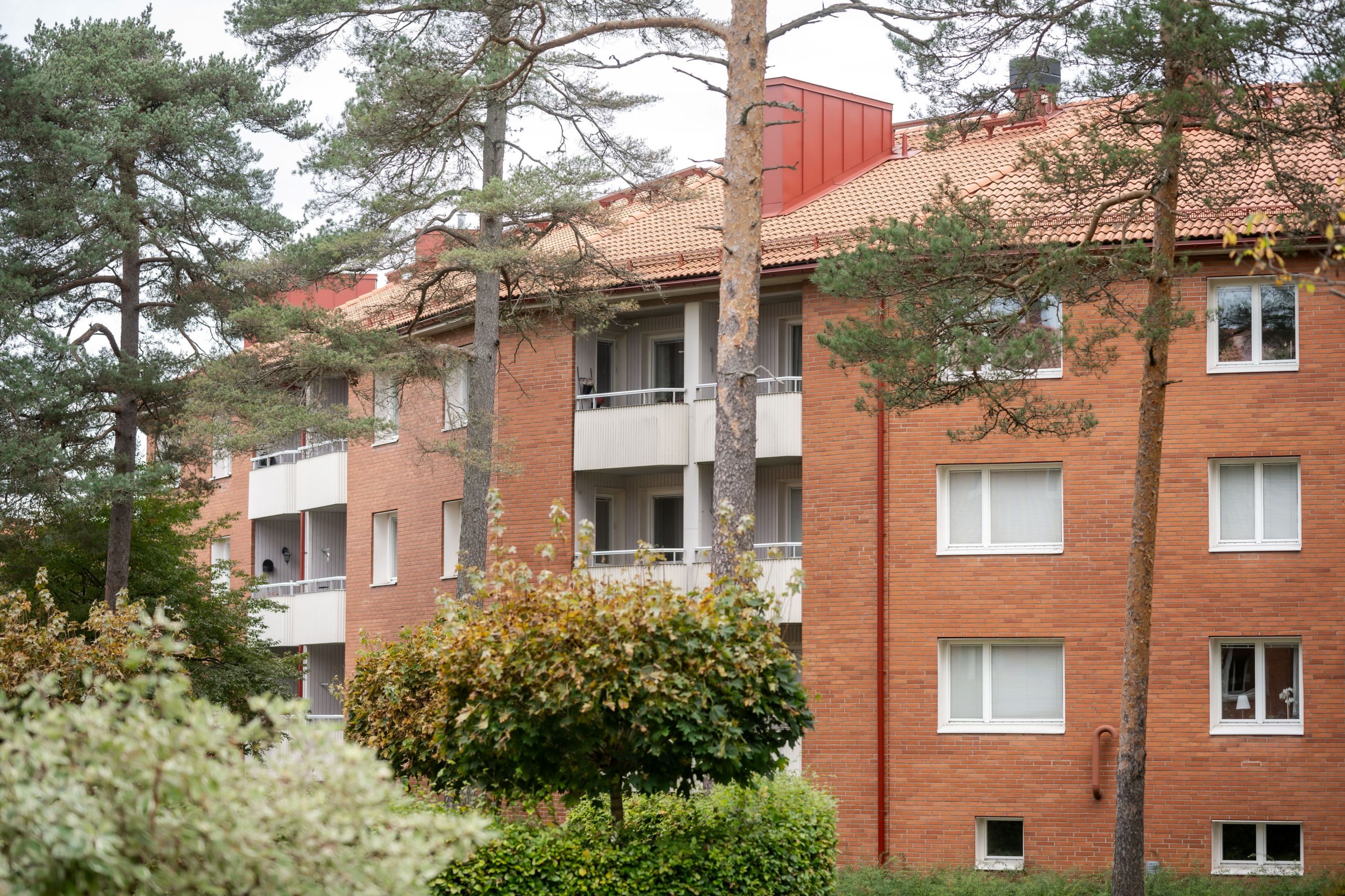 Exteriör