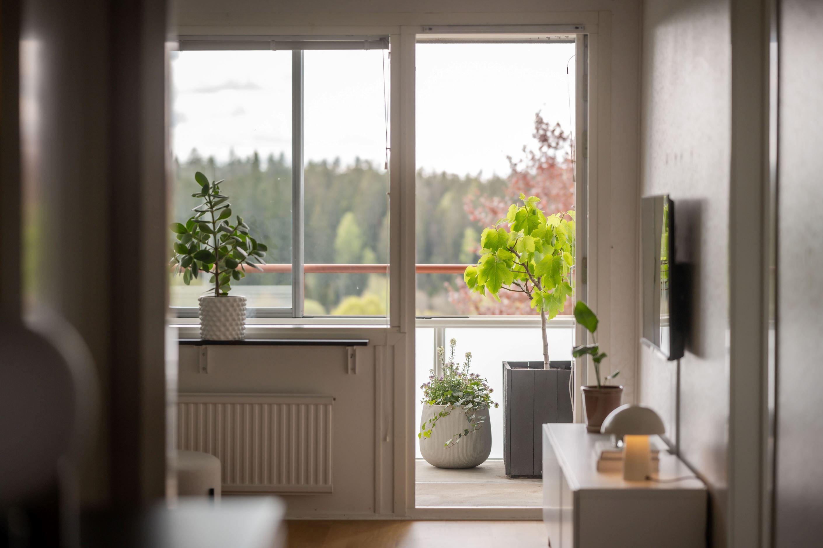 Områdesbild