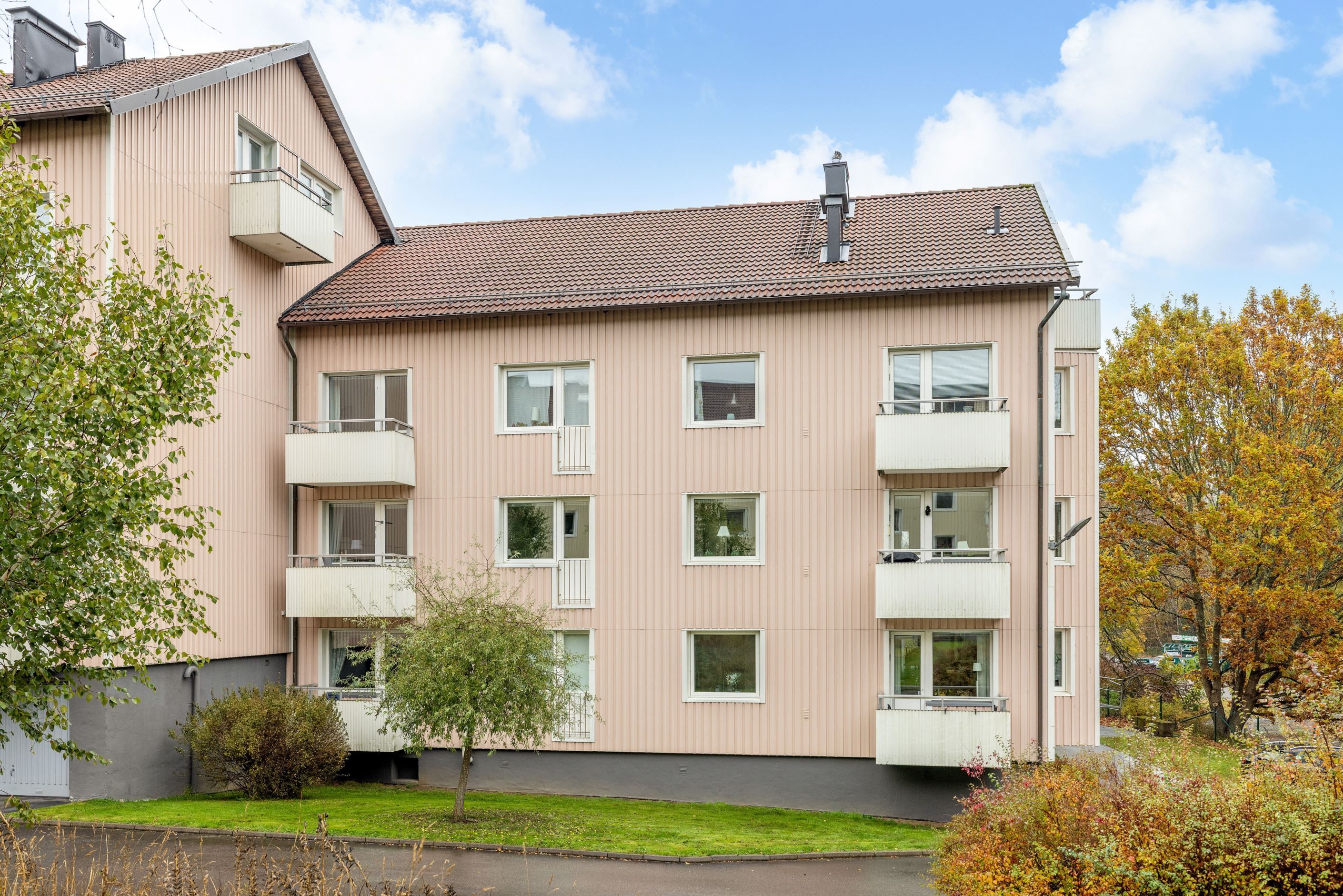 Exteriör