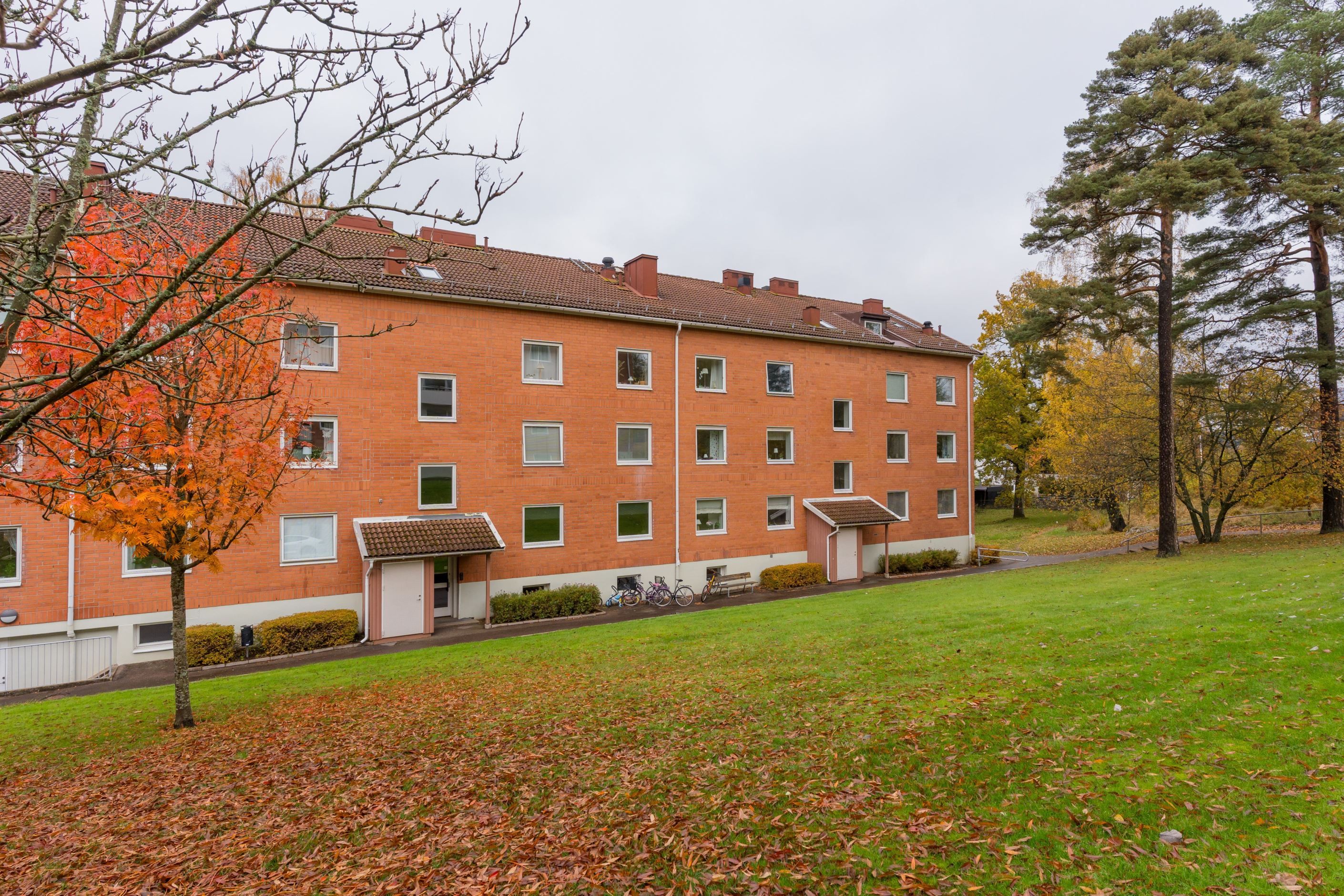 Exteriör