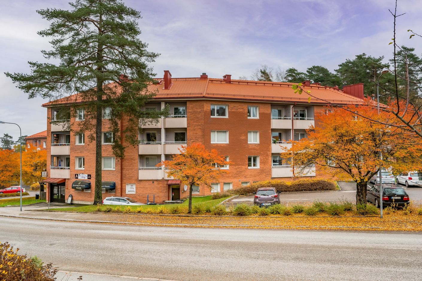 Exteriör