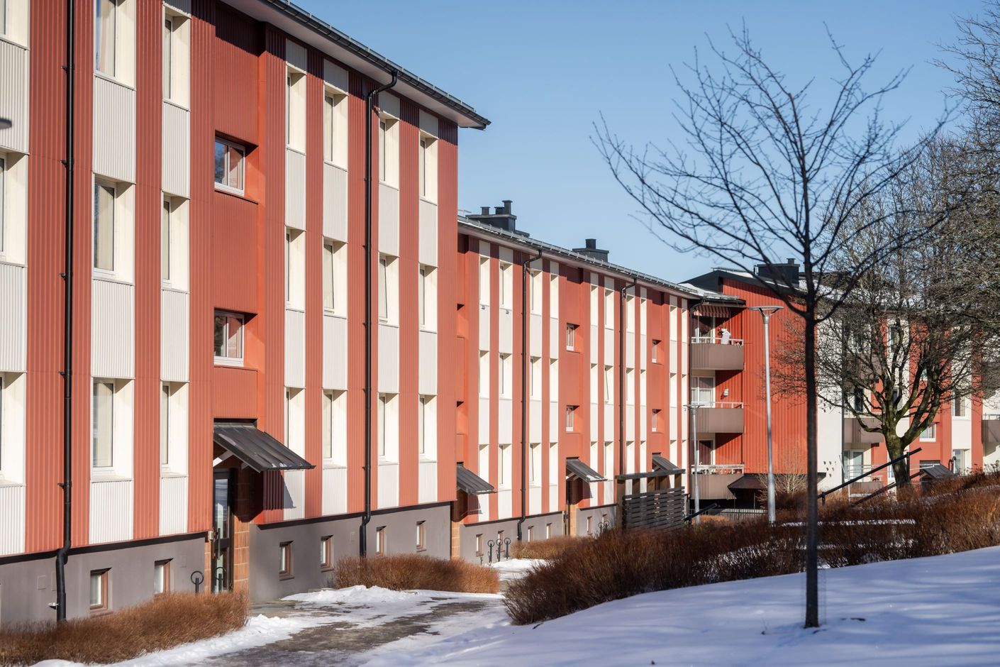 Exteriör