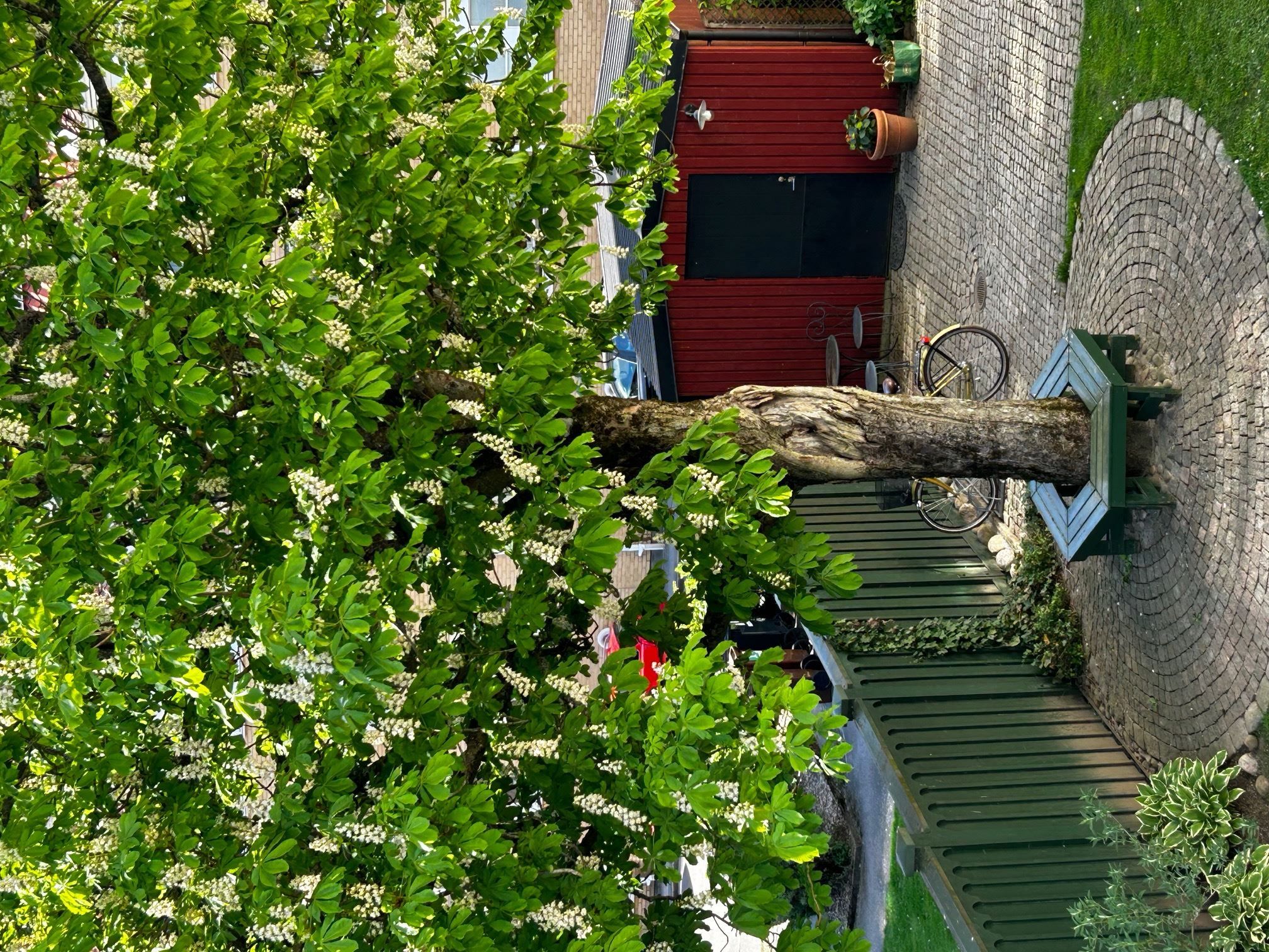 Säljarens egna bilder